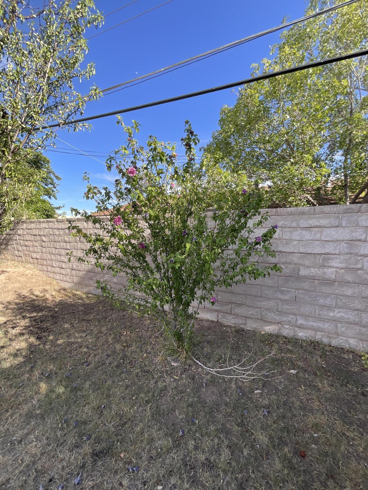 Photo 13 — 3608 General Patch Street NE