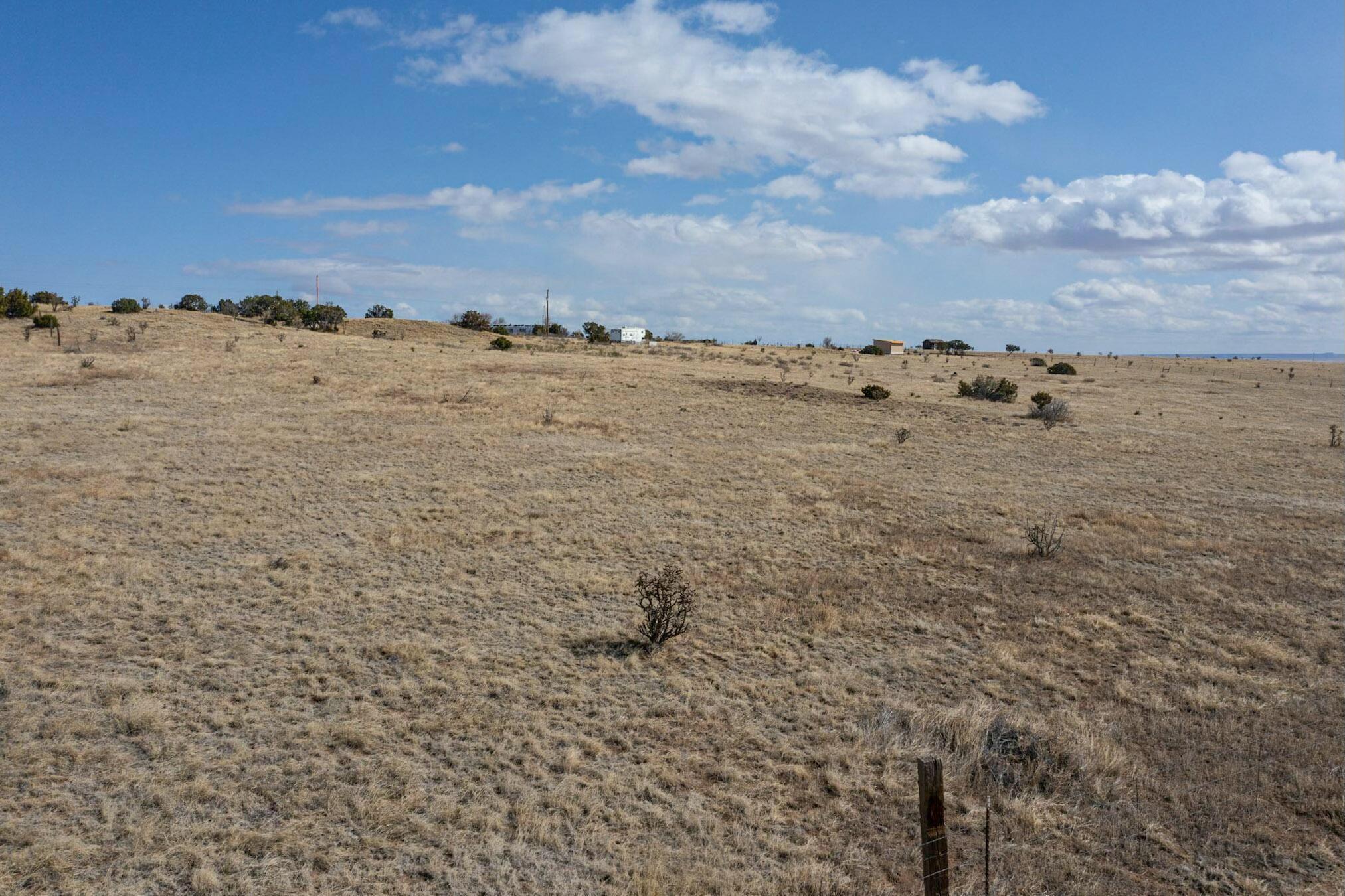 Photo 12 — 57 Luke Road
