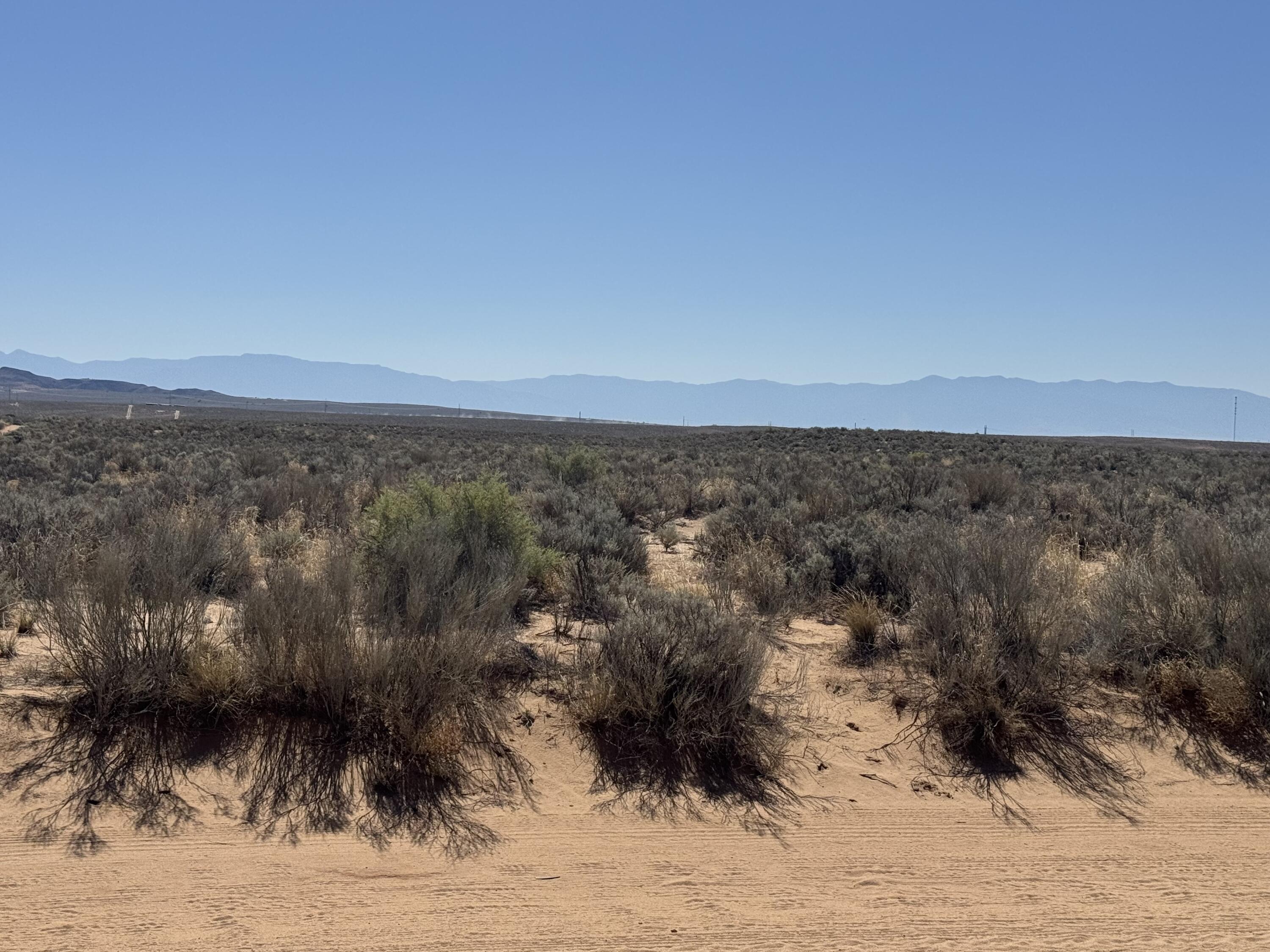 Photo 11 —  Quintana Road