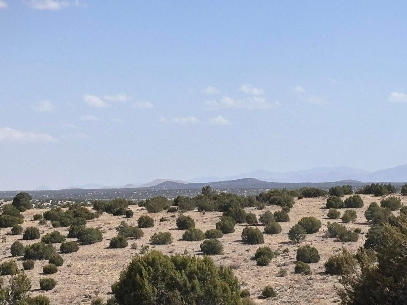 Photo 6 —  Lot 173 Campfire Rd Road