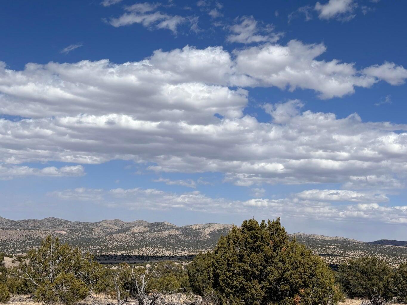 Photo 5 —  Lot 173 Campfire Rd Road