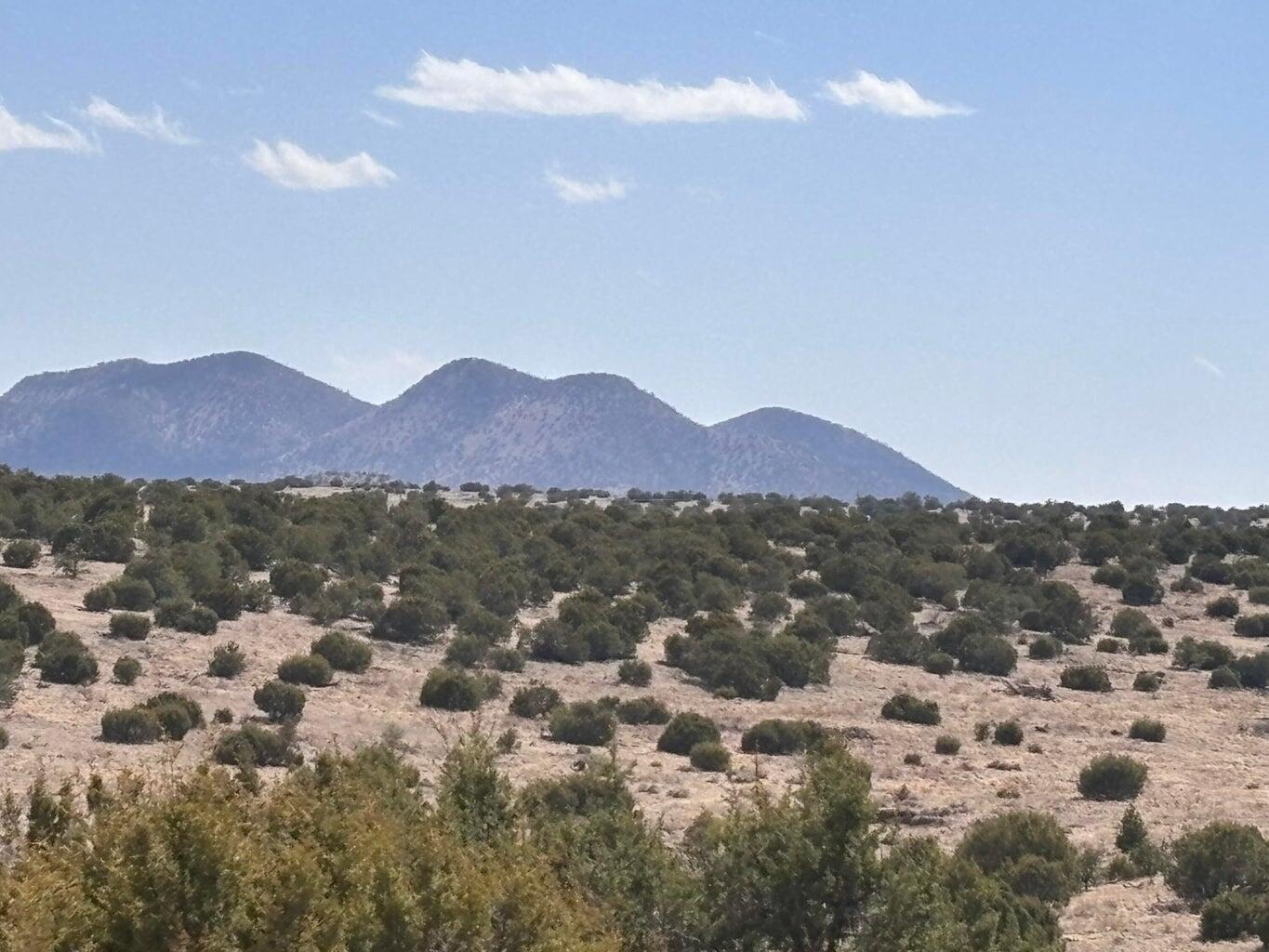 Photo 4 —  Lot 173 Campfire Rd Road