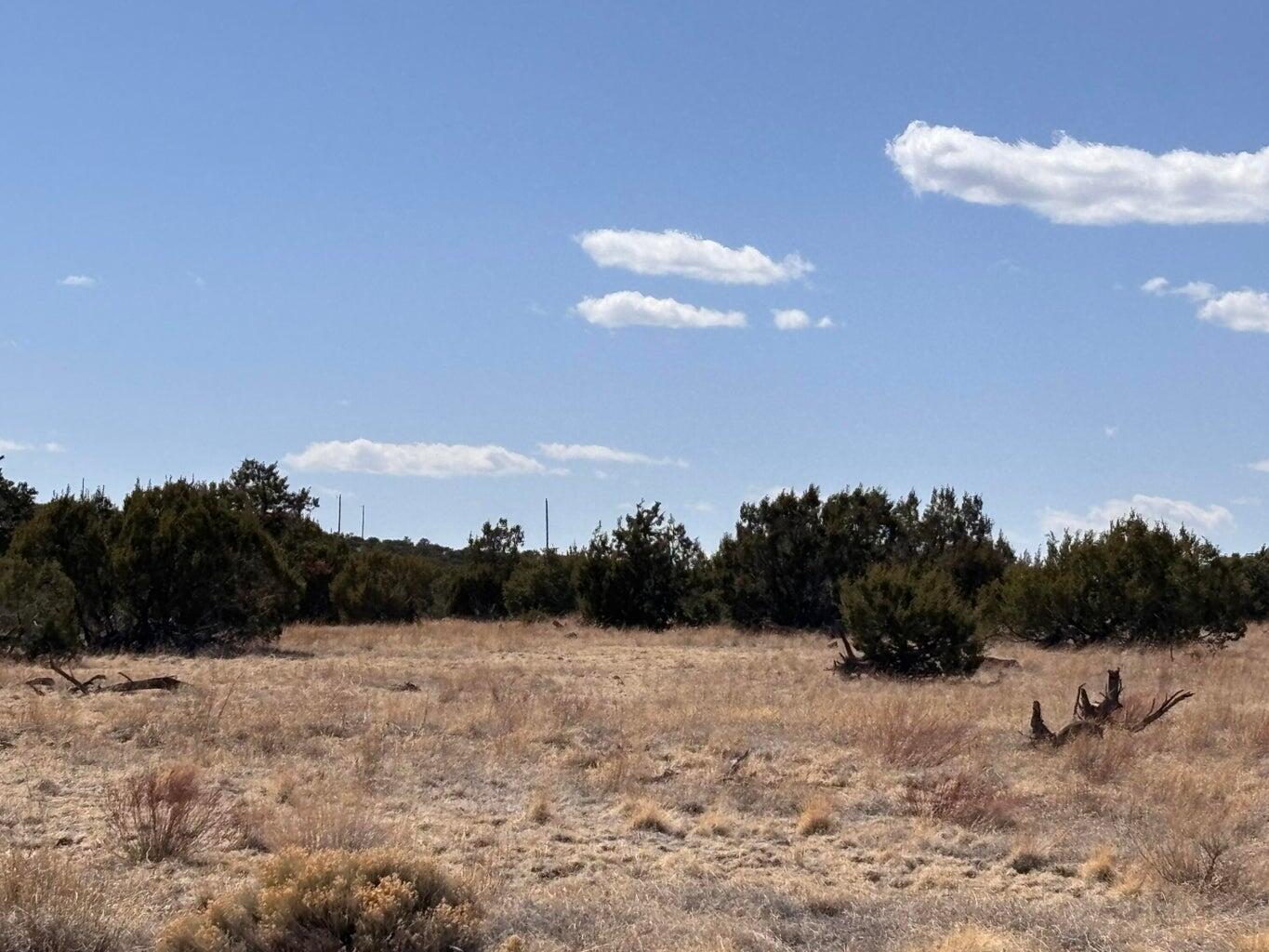 Photo 3 —  Lot 173 Campfire Rd Road