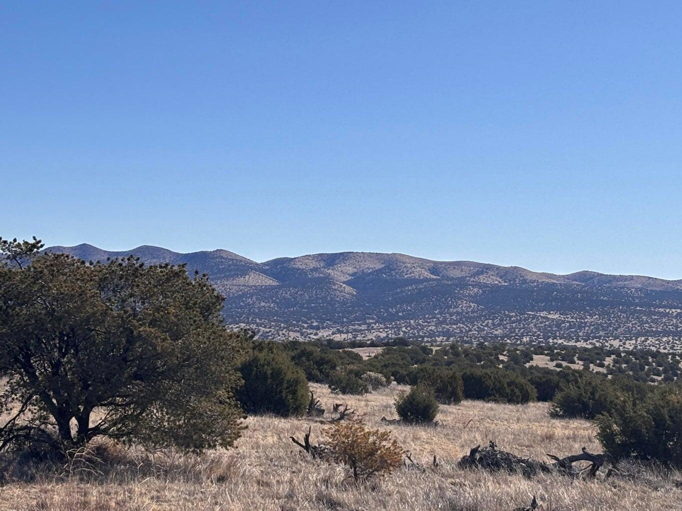 Photo 2 —  Lot 173 Campfire Rd Road