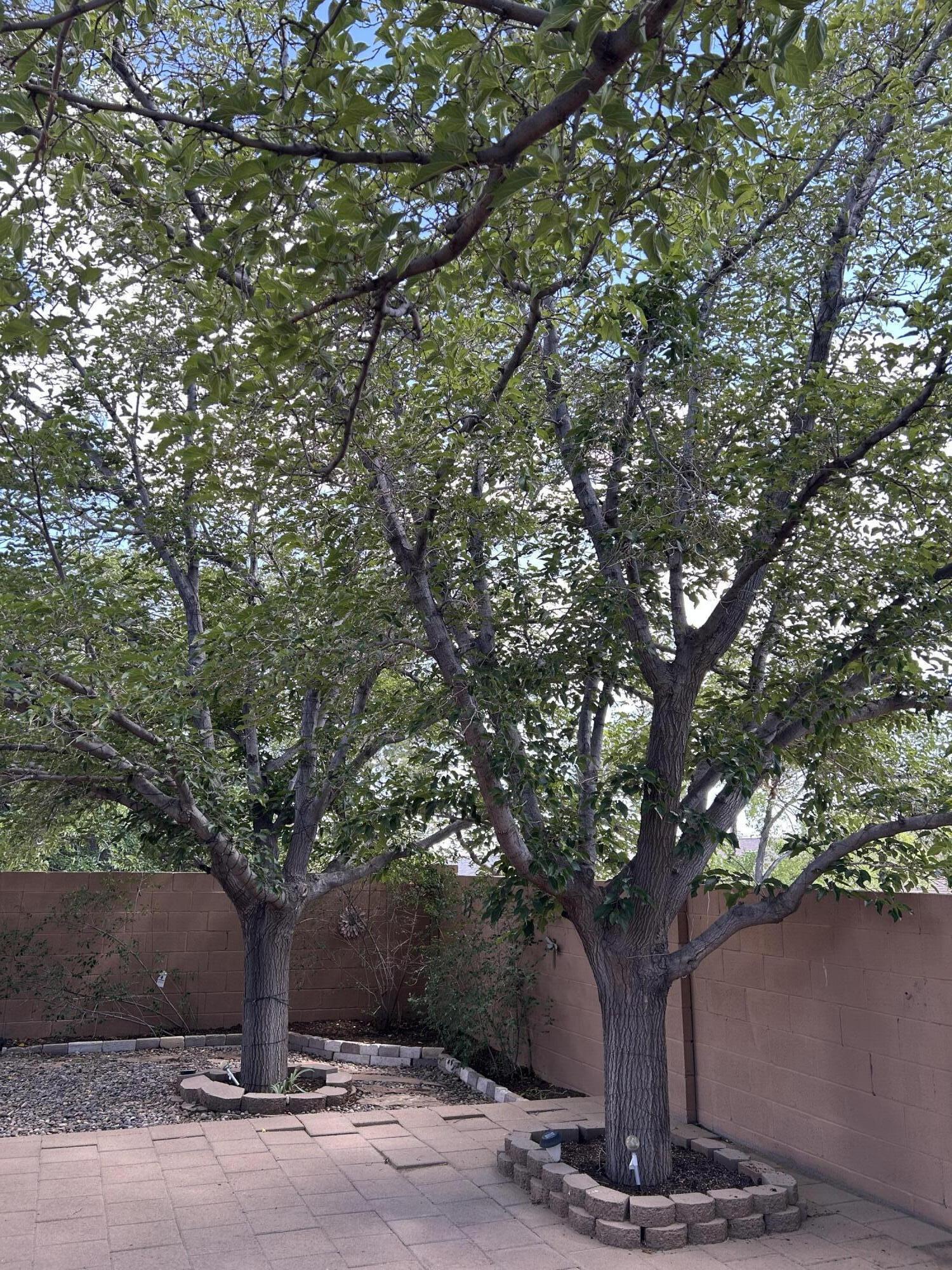 Photo 6 — 763 Western Hills Drive SE