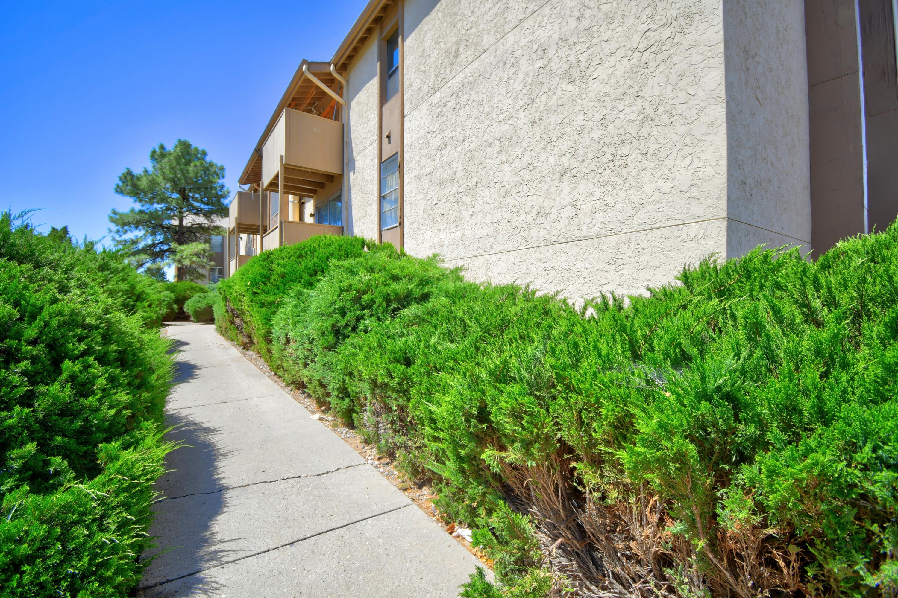 Photo 19 — 3839 Montgomery Boulevard NE APT 731