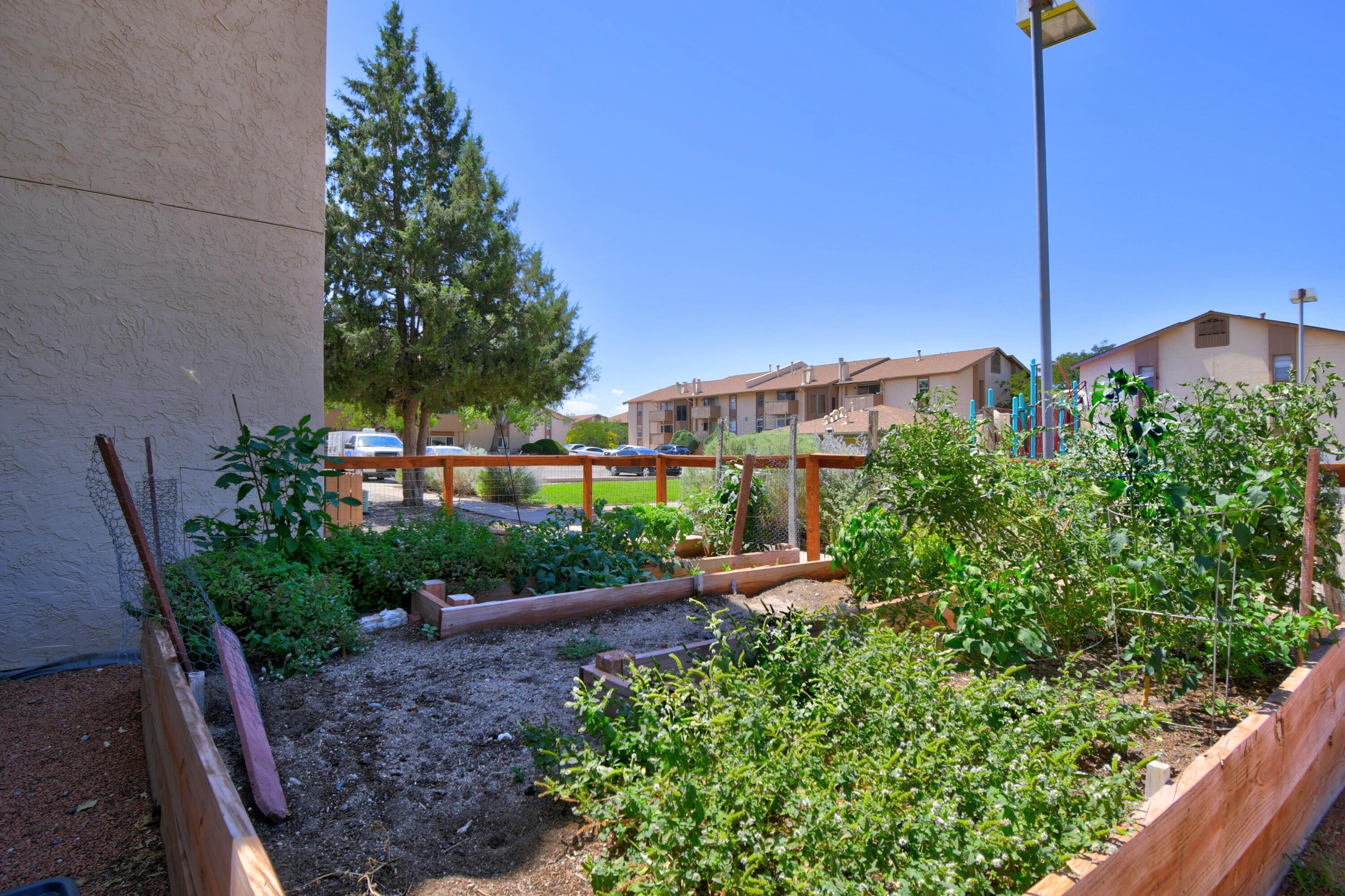 Photo 5 — 3839 Montgomery Boulevard NE APT 731