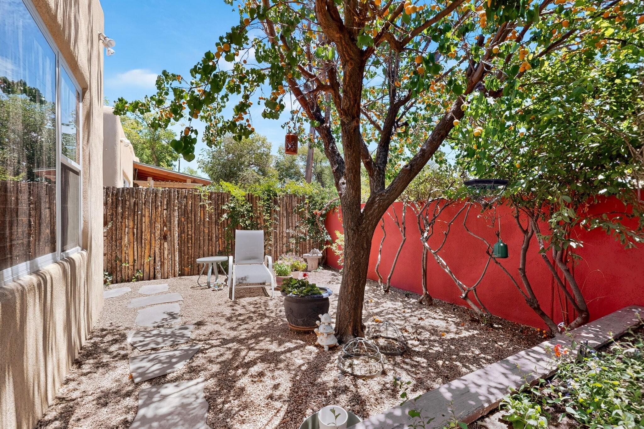 Photo 6 — 3009 Calle San Angel NW