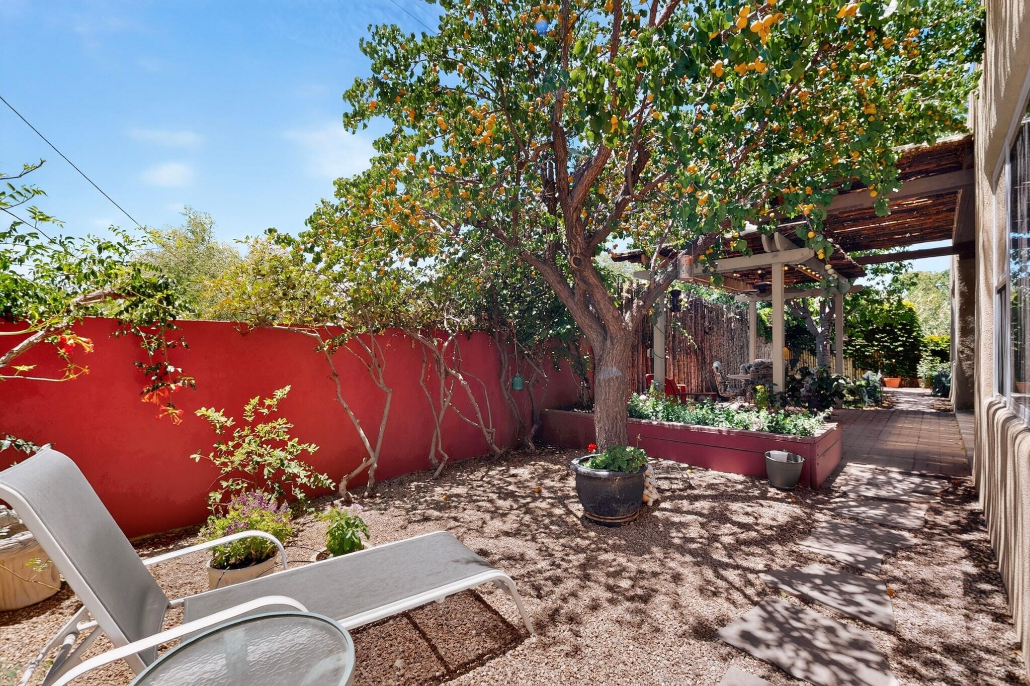Photo 5 — 3009 Calle San Angel NW
