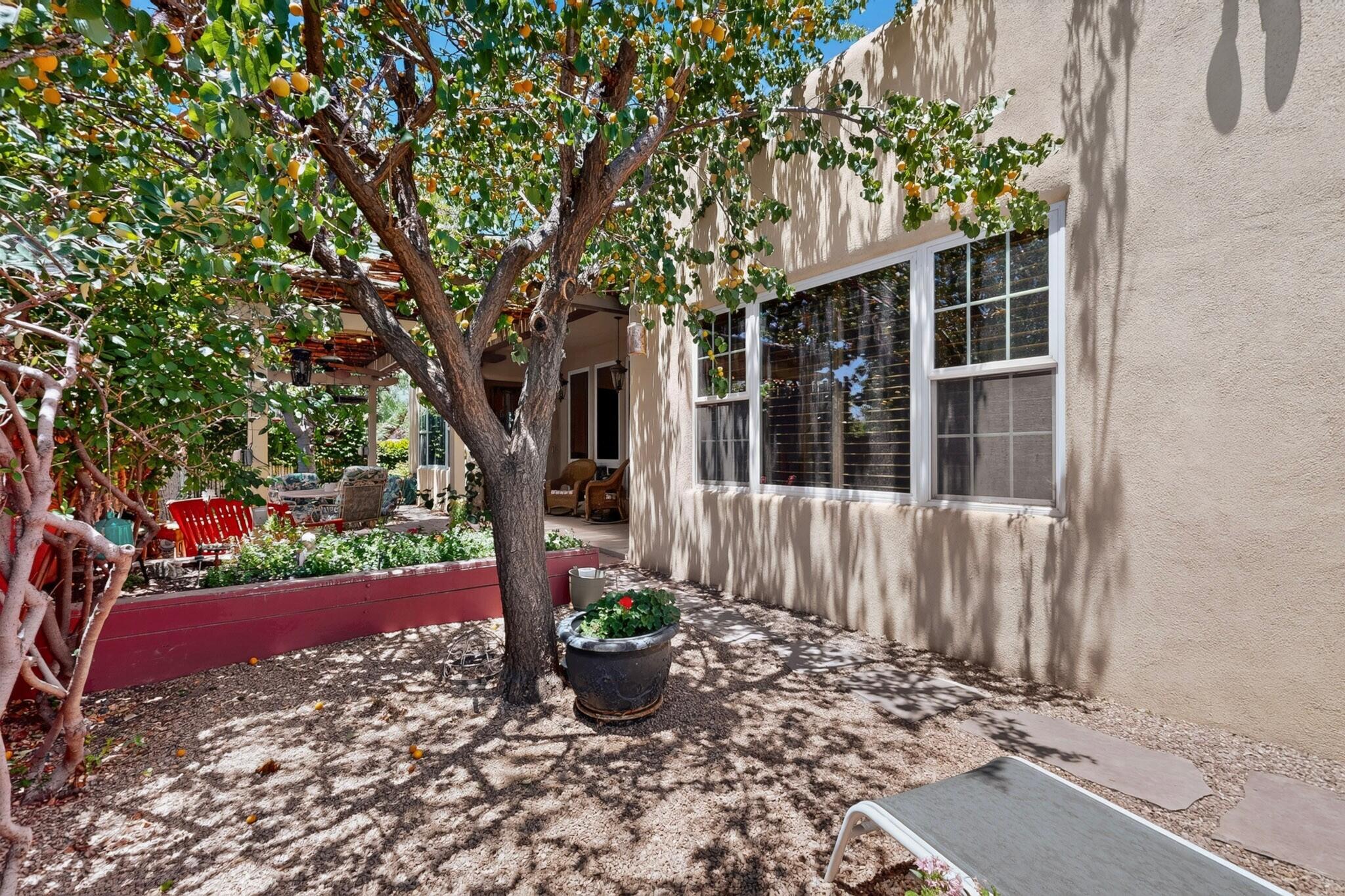 Photo 4 — 3009 Calle San Angel NW
