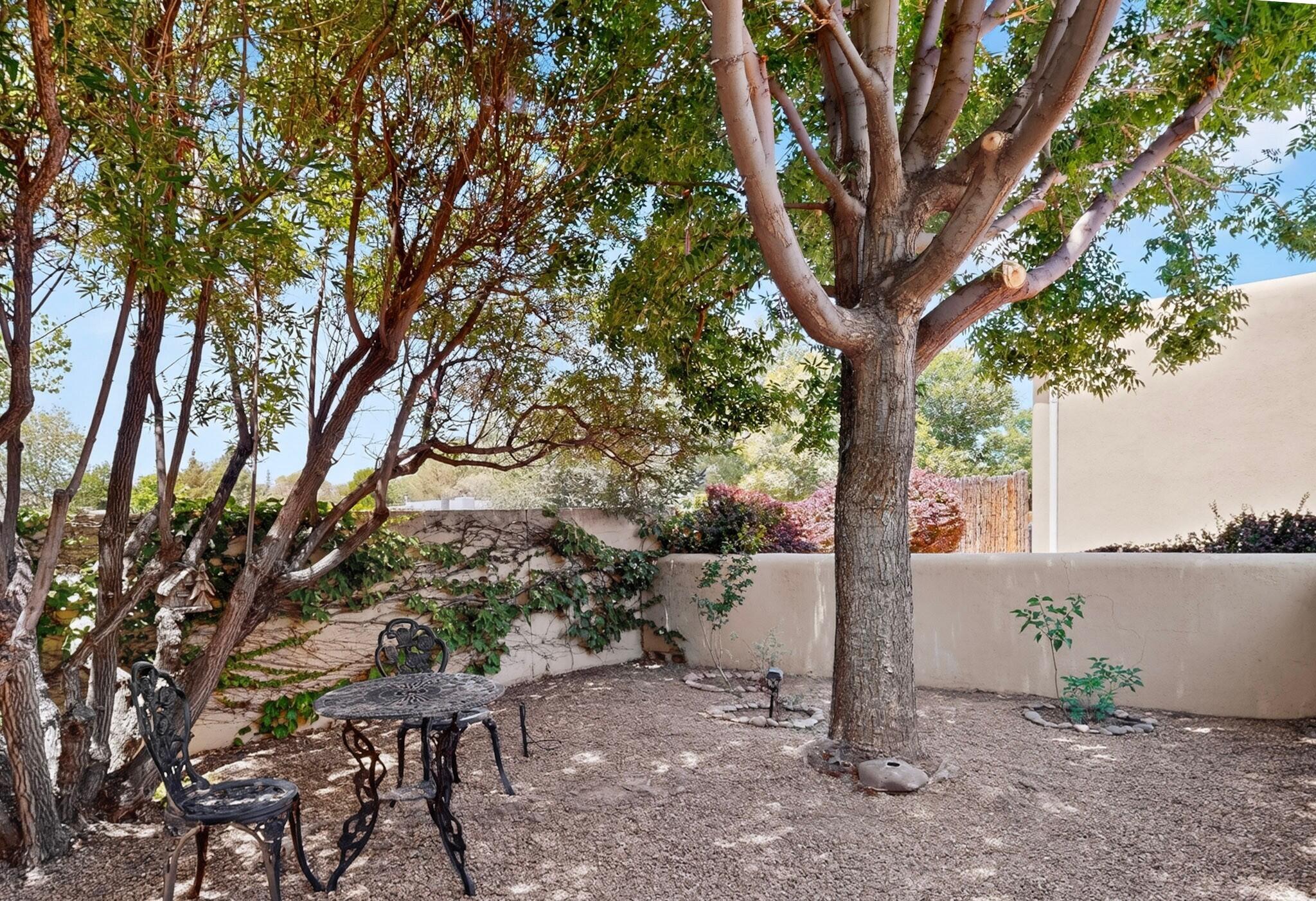 Photo 2 — 3009 Calle San Angel NW