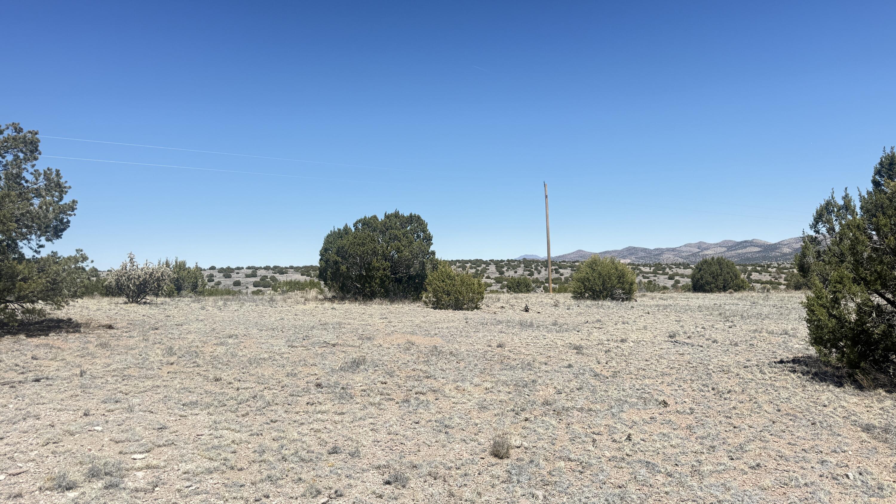 Photo 16 — Lot 161 Pinon Springs