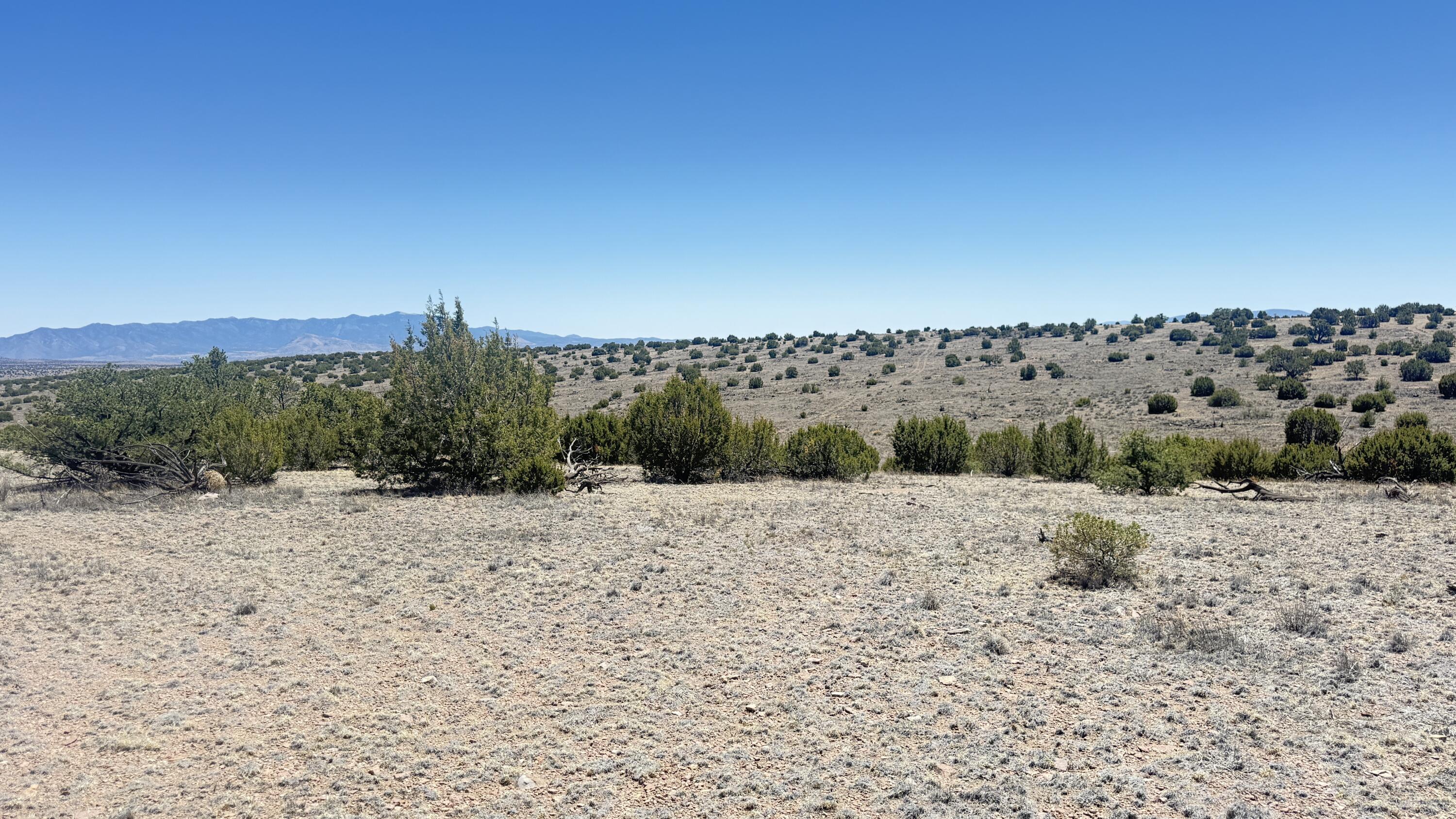 Photo 2 — Lot 161 Pinon Springs