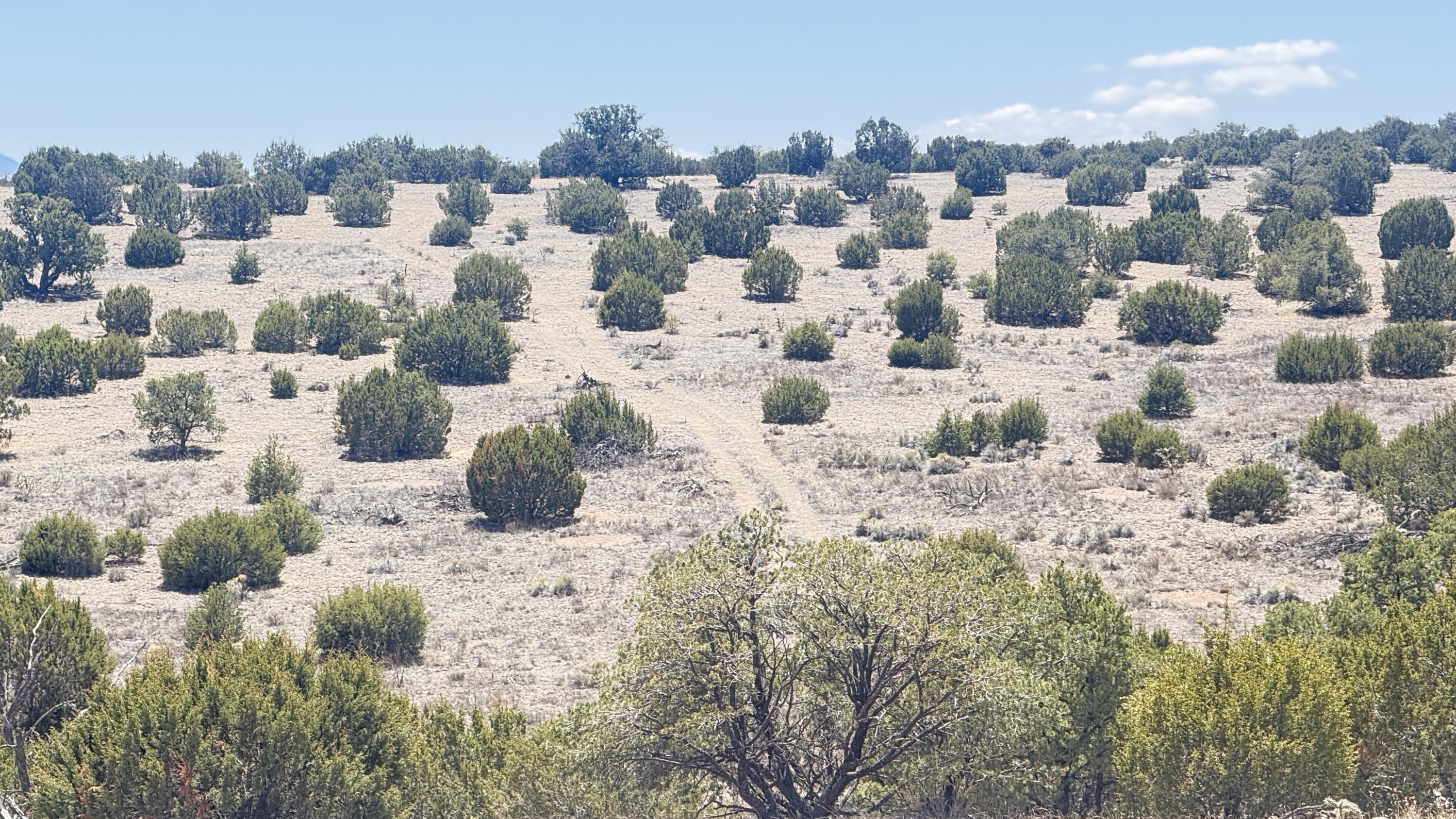 Photo 3 — Lot 161 Pinon Springs