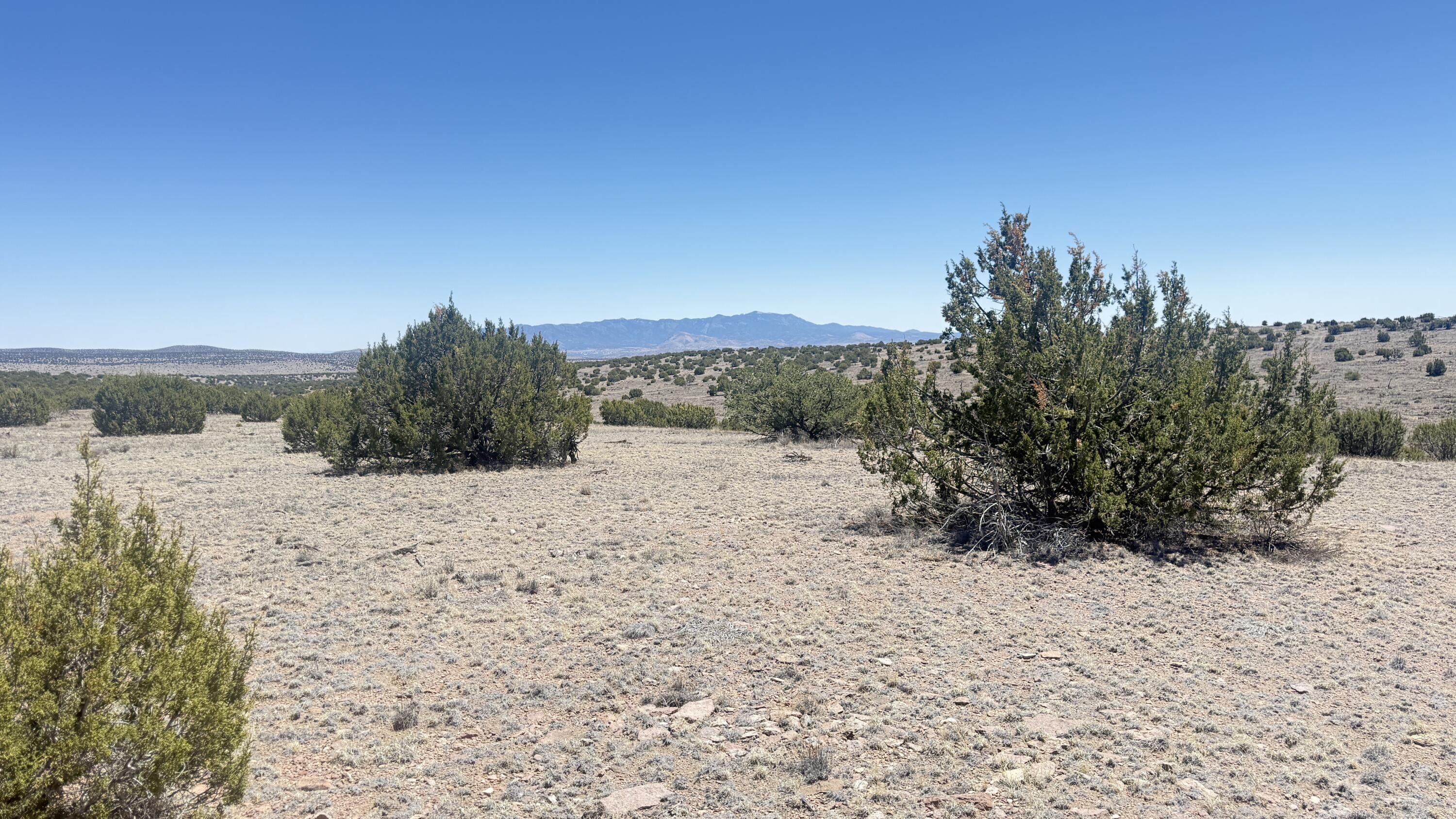 Photo 4 — Lot 161 Pinon Springs
