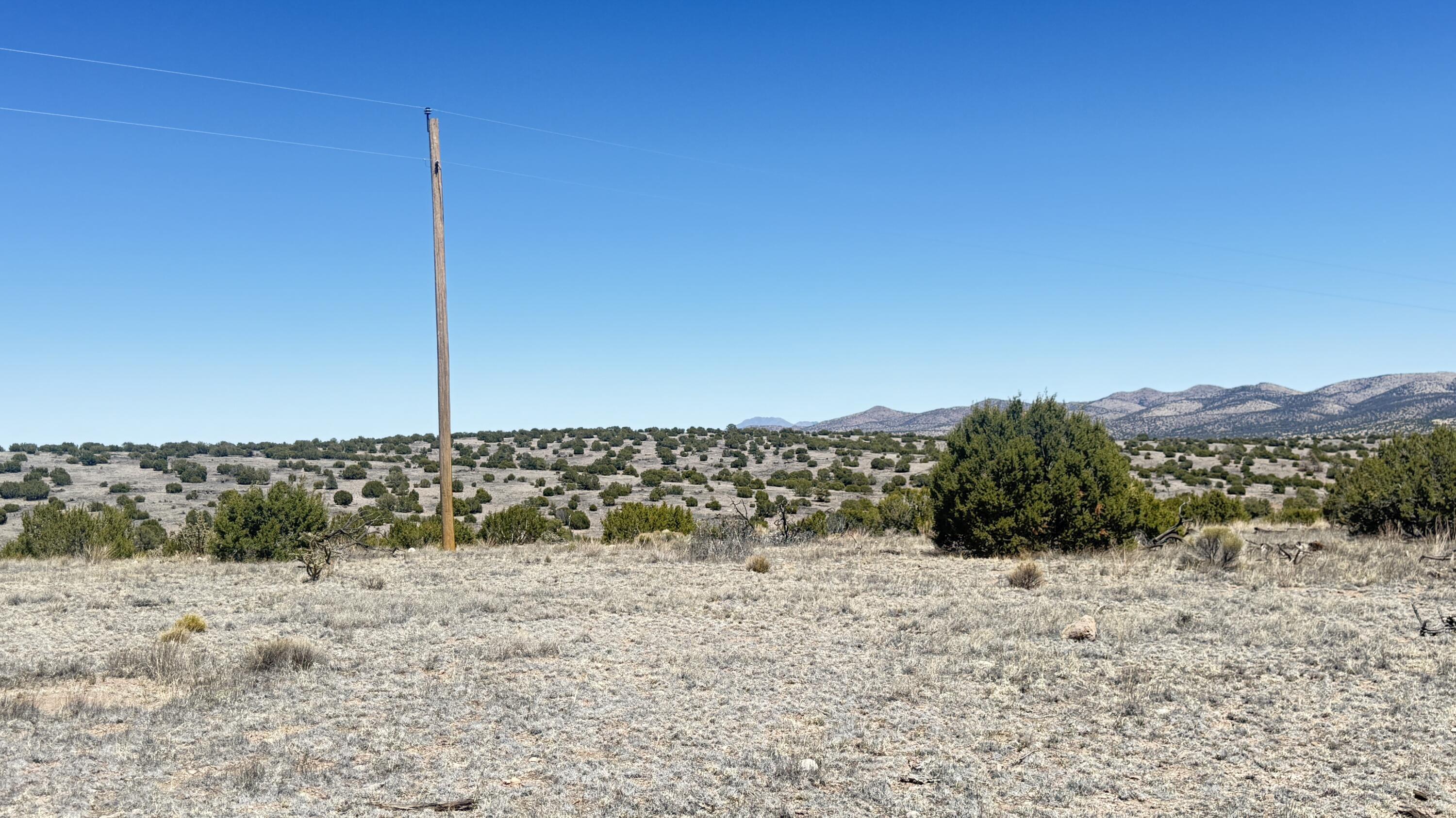 Photo 8 — Lot 161 Pinon Springs