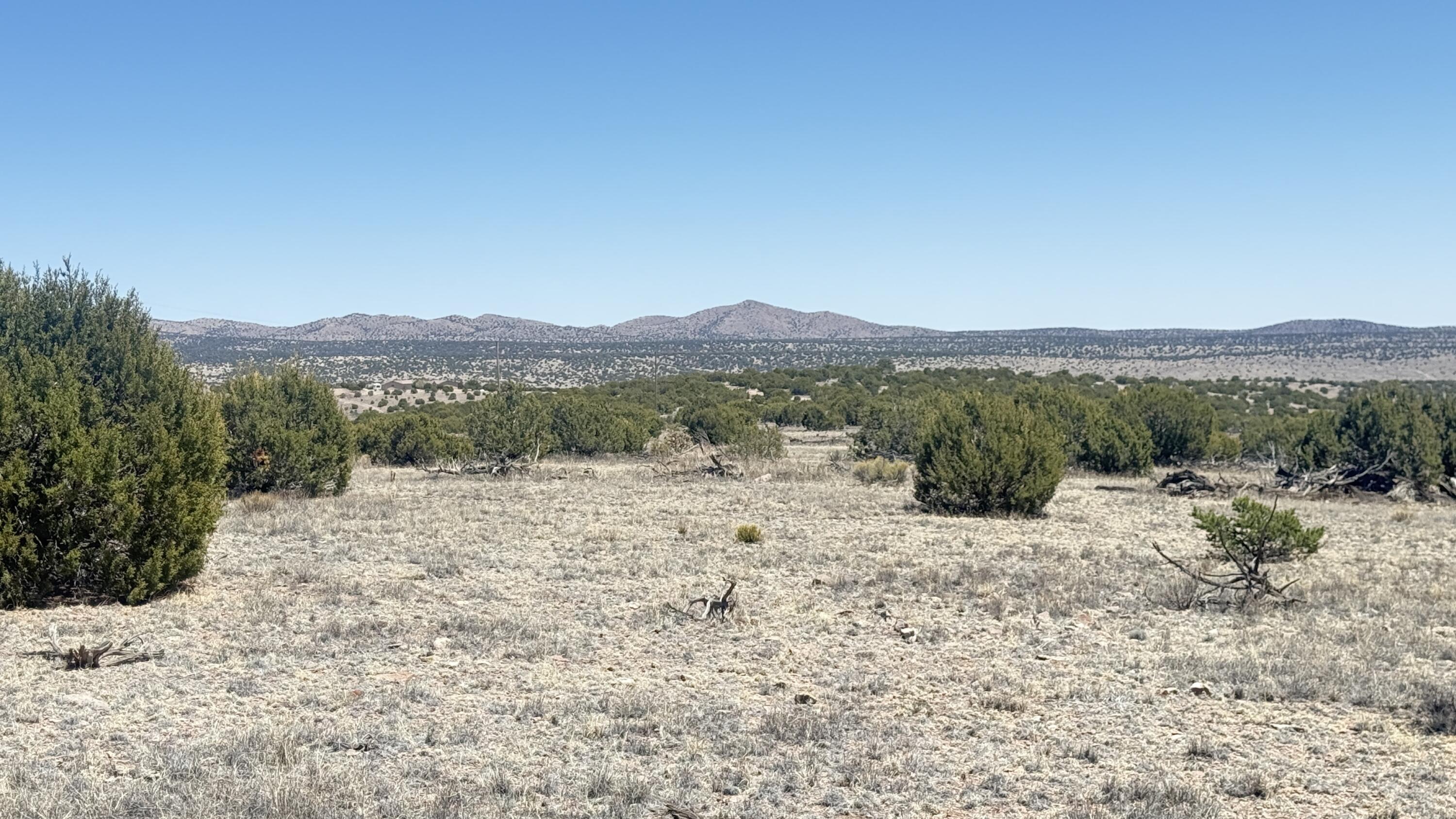 Photo 9 — Lot 161 Pinon Springs