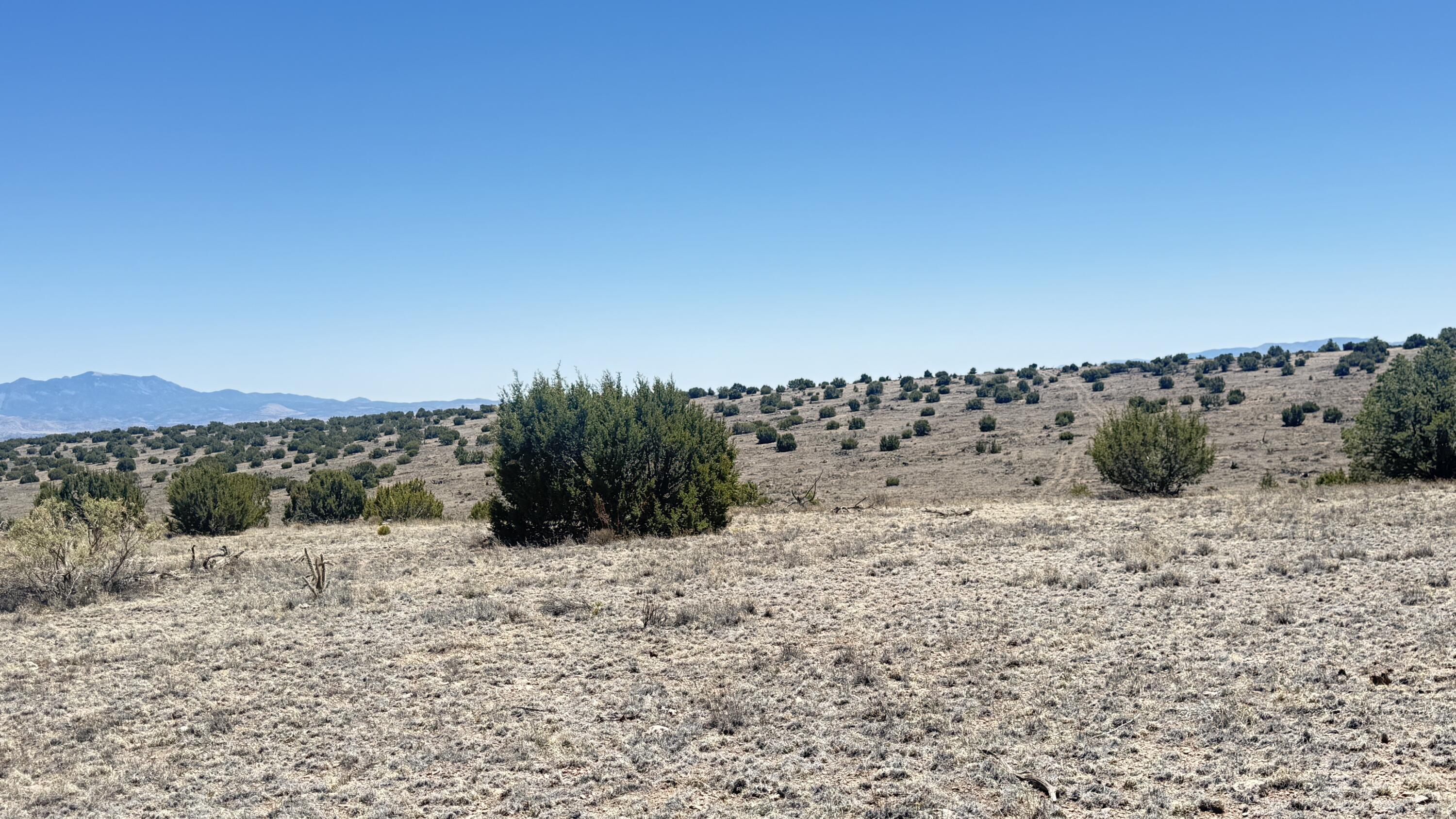 Photo 10 — Lot 161 Pinon Springs