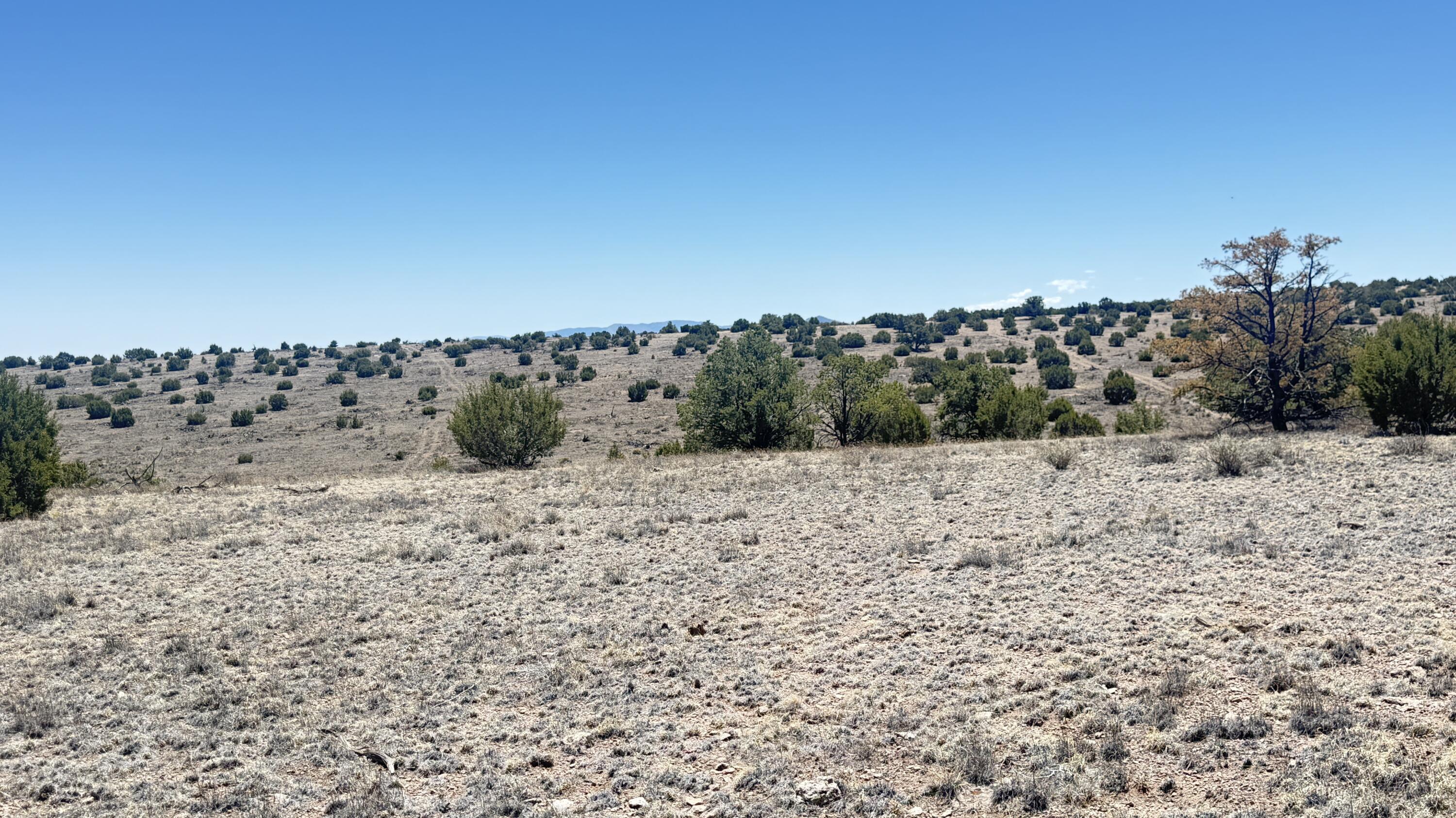 Photo 11 — Lot 161 Pinon Springs