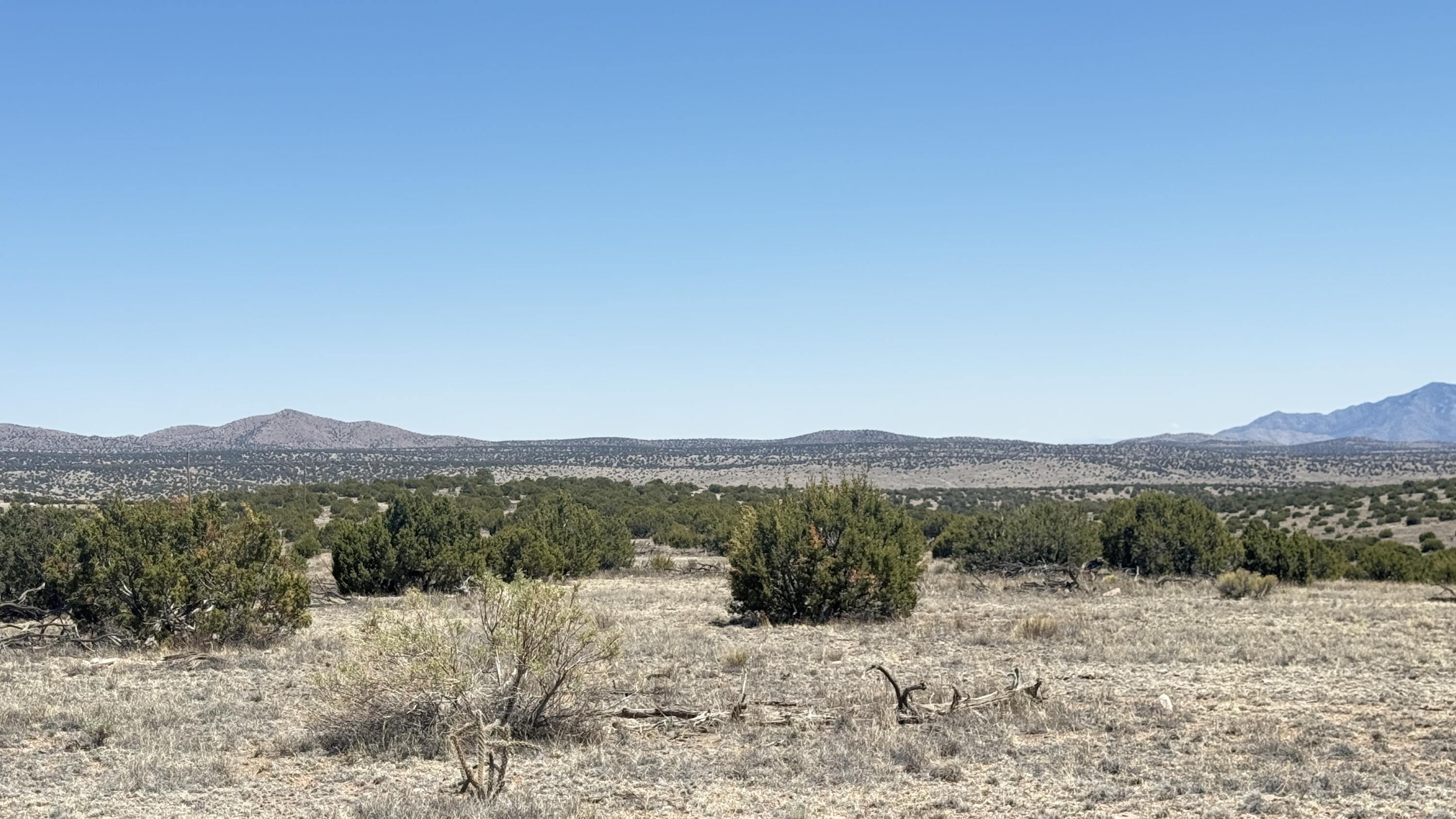 Photo 12 — Lot 161 Pinon Springs