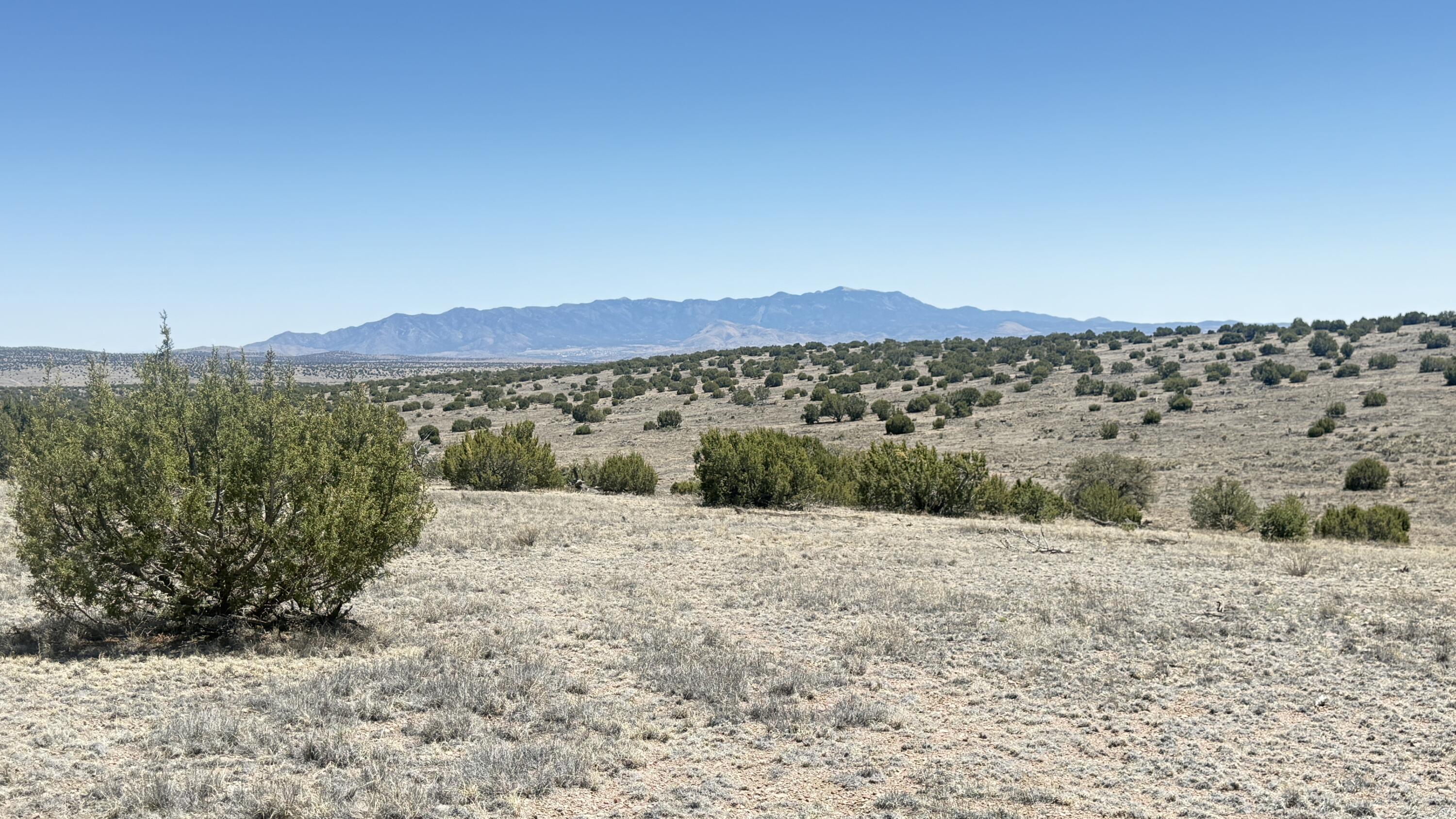 Photo 13 — Lot 161 Pinon Springs