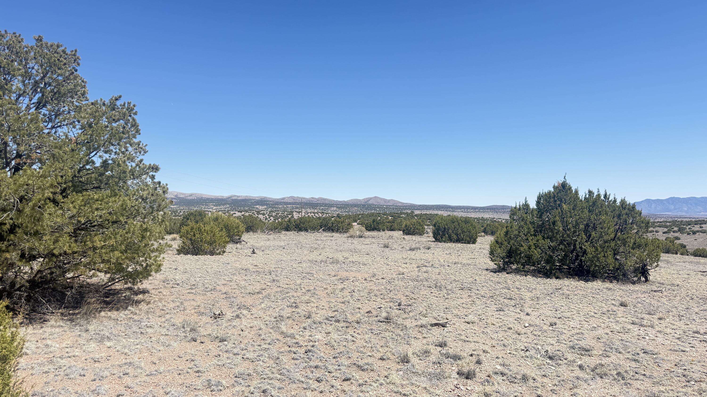 Photo 14 — Lot 161 Pinon Springs