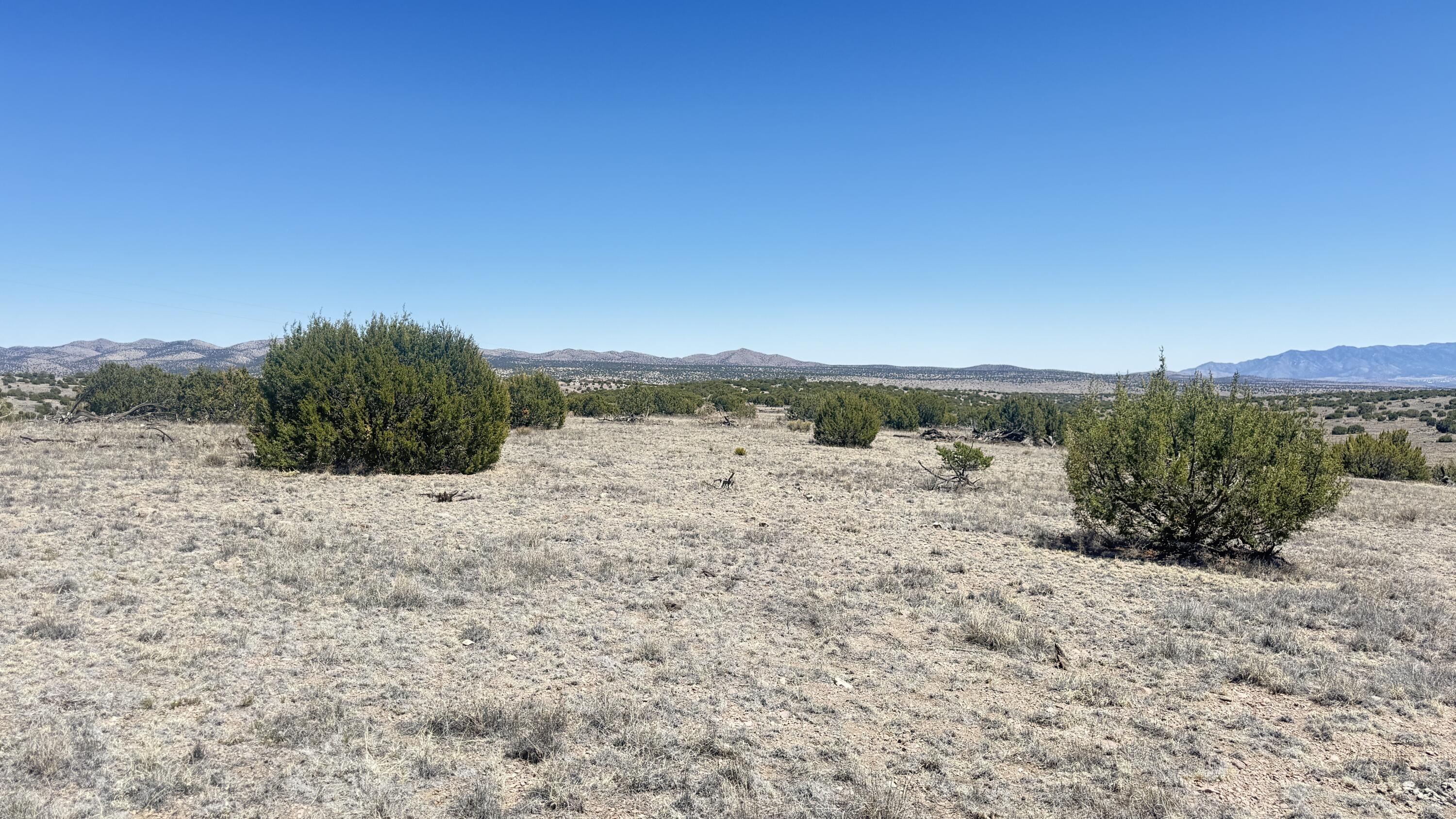 Photo 15 — Lot 161 Pinon Springs