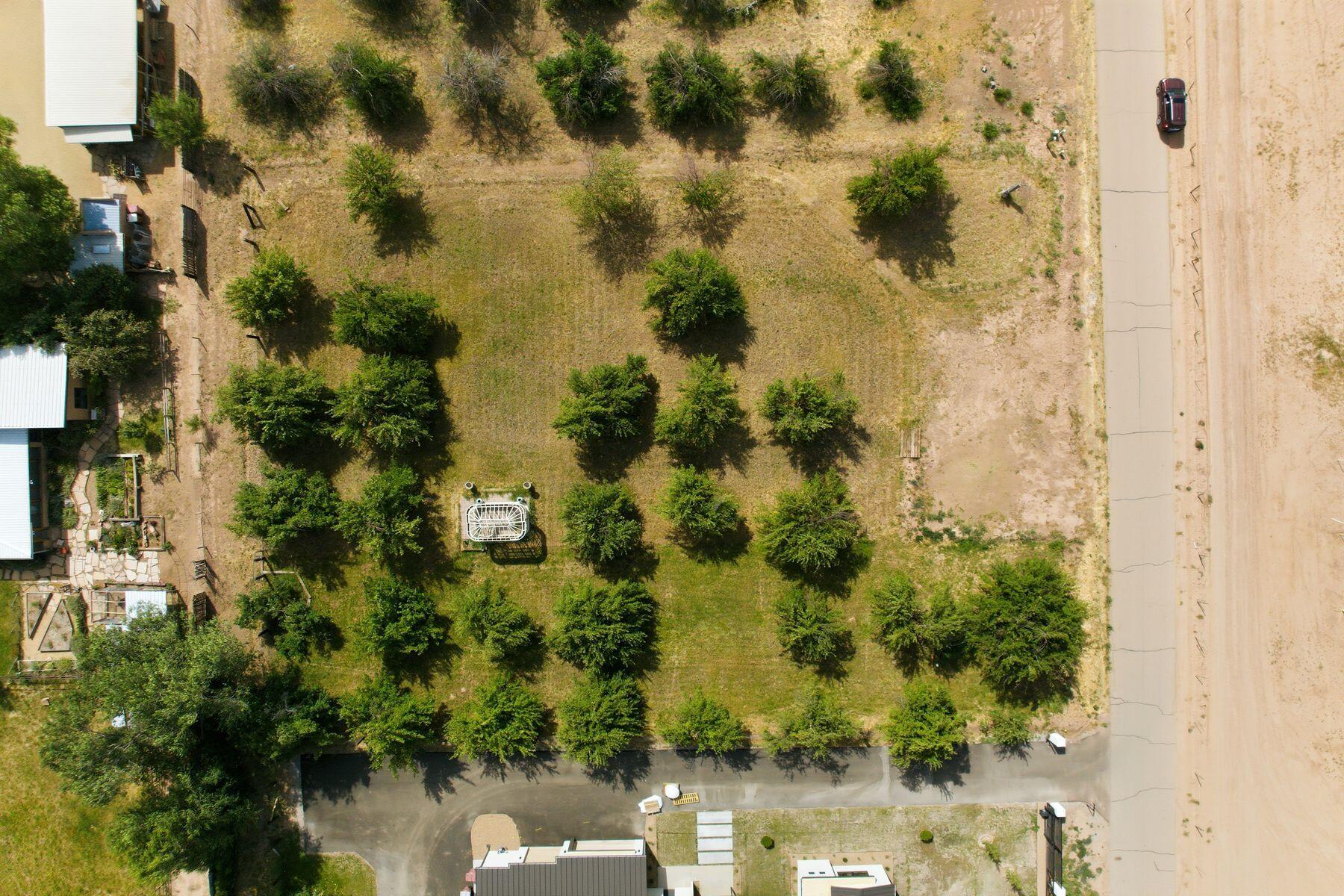 Photo 4 — 21 E Alary Lane
