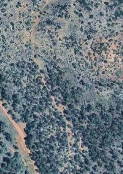  Lot 22 La Jara Springs, Estancia, NM 87016