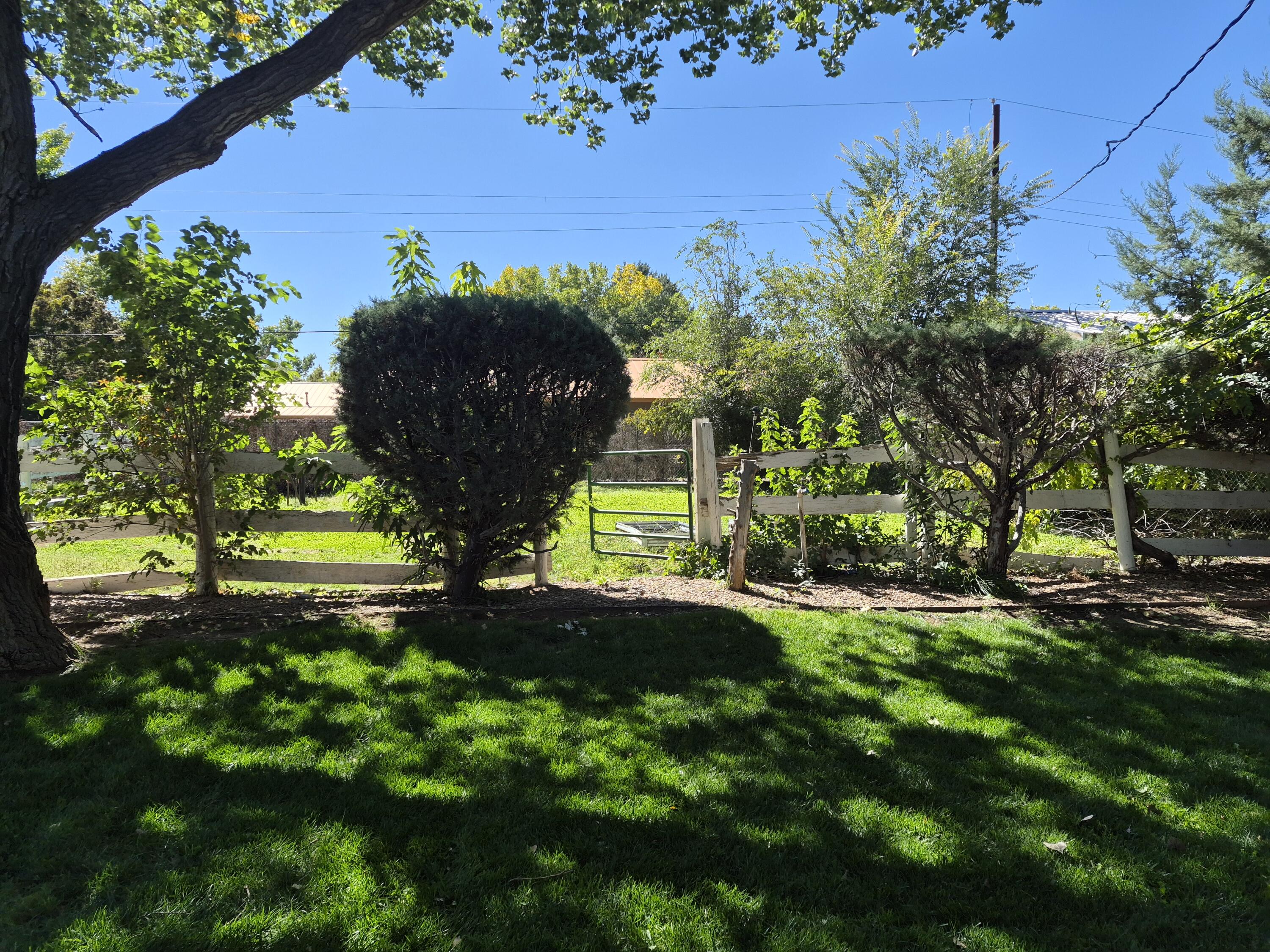 Photo 12 — 1020 Stuart Road NW