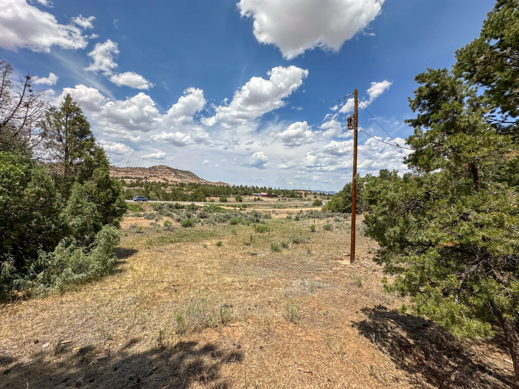 Photo 16 — 1050 State Highway 96
