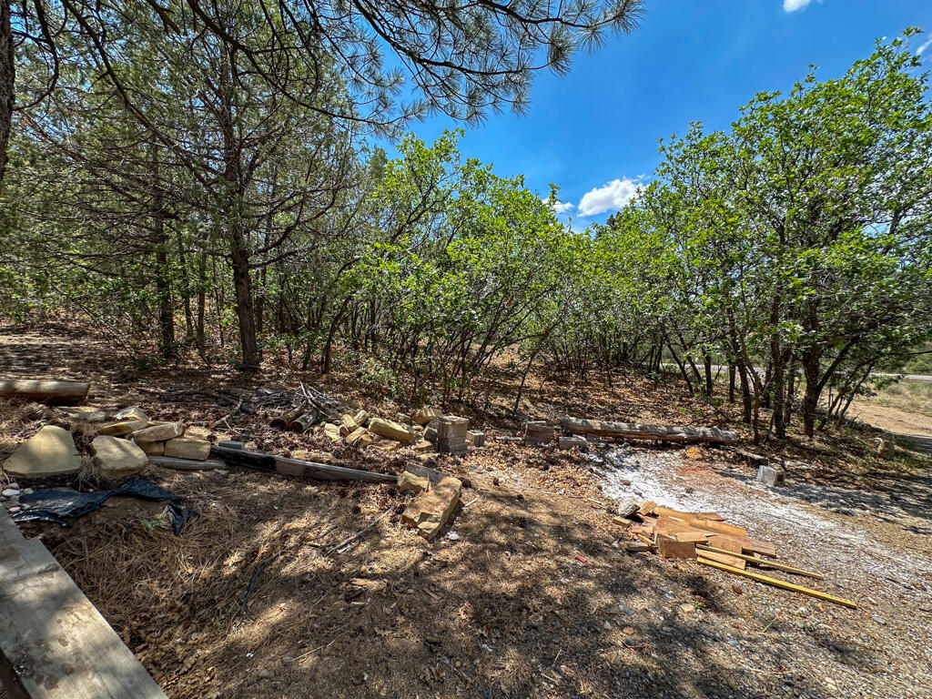 Photo 15 — 1050 State Highway 96