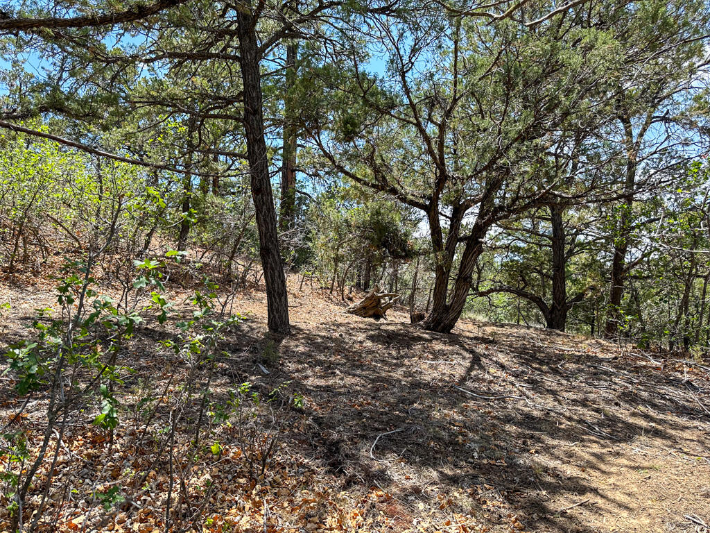 Photo 14 — 1050 State Highway 96