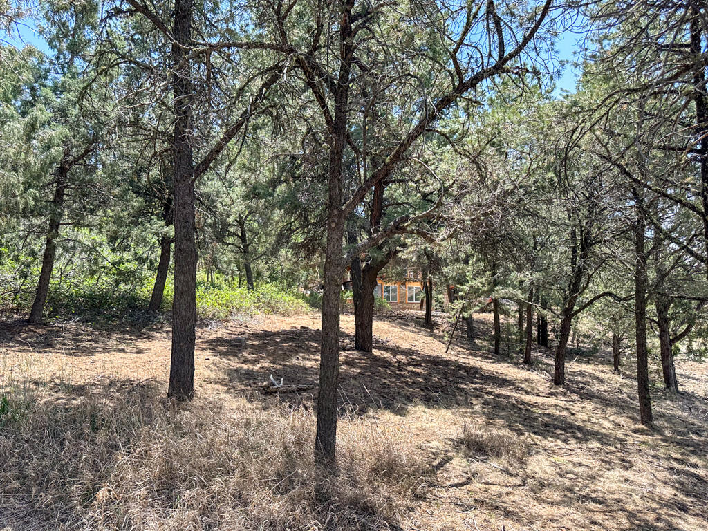 Photo 9 — 1050 State Highway 96
