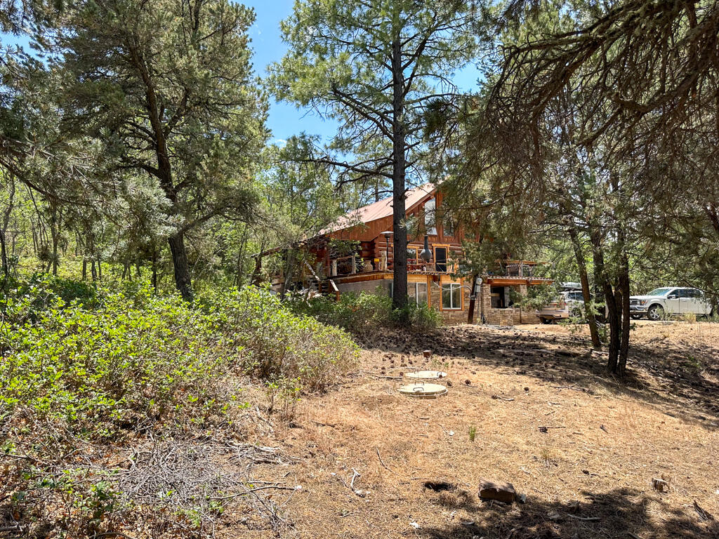 Photo 8 — 1050 State Highway 96