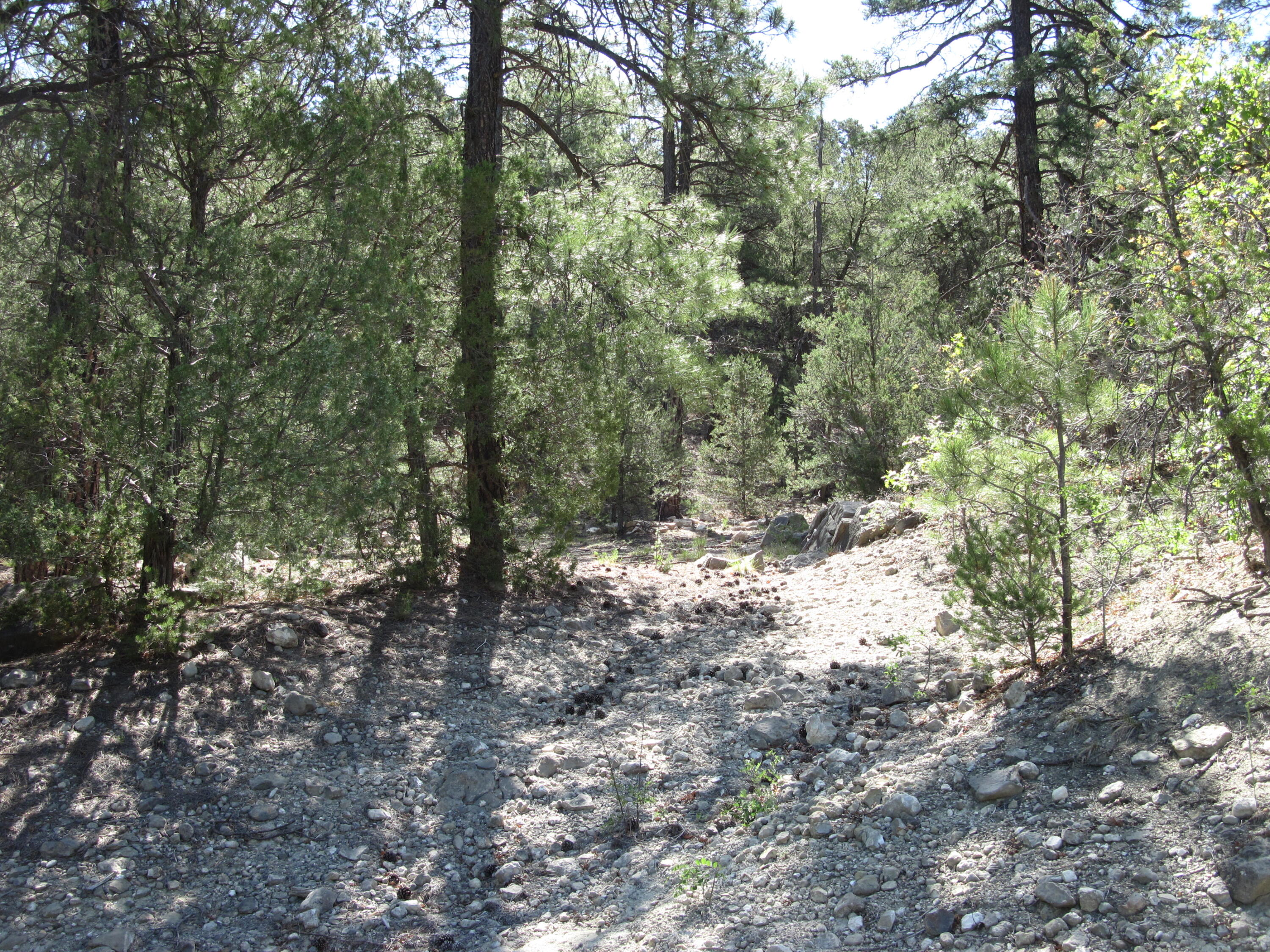 Photo 2 — 35 Green Shadow Lane