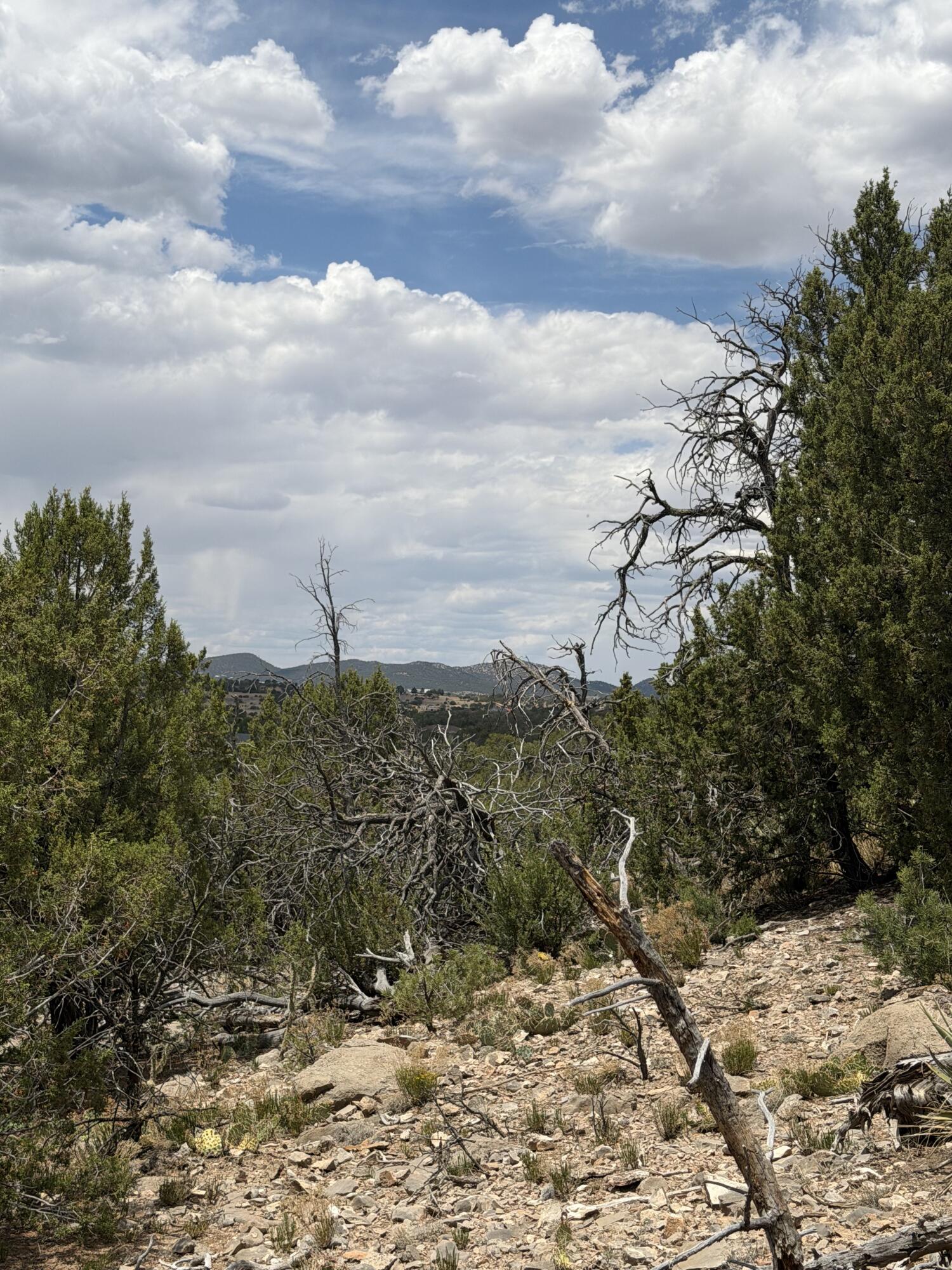 Photo 12 — 0 County Line Road