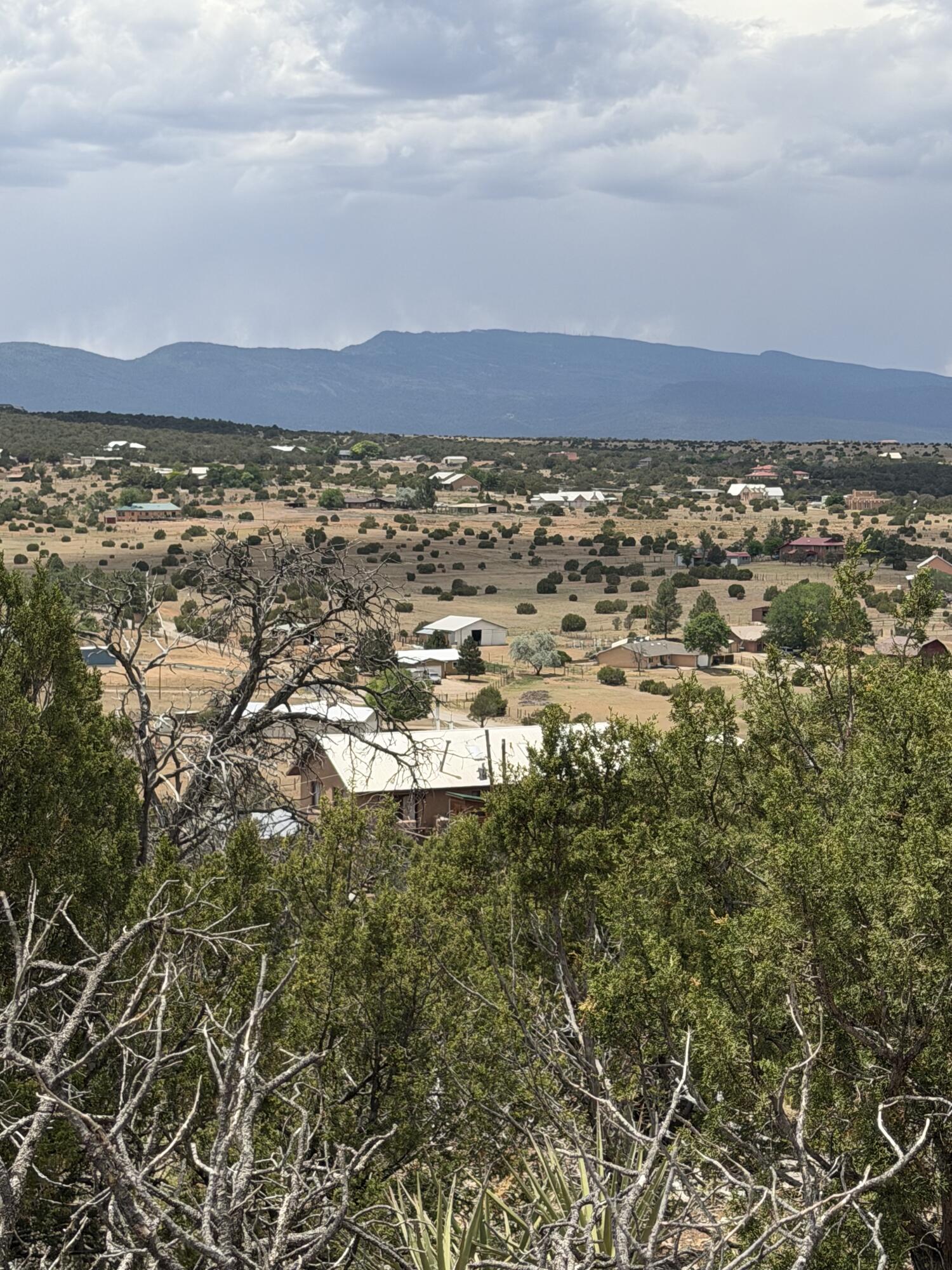 Photo 11 — 0 County Line Road