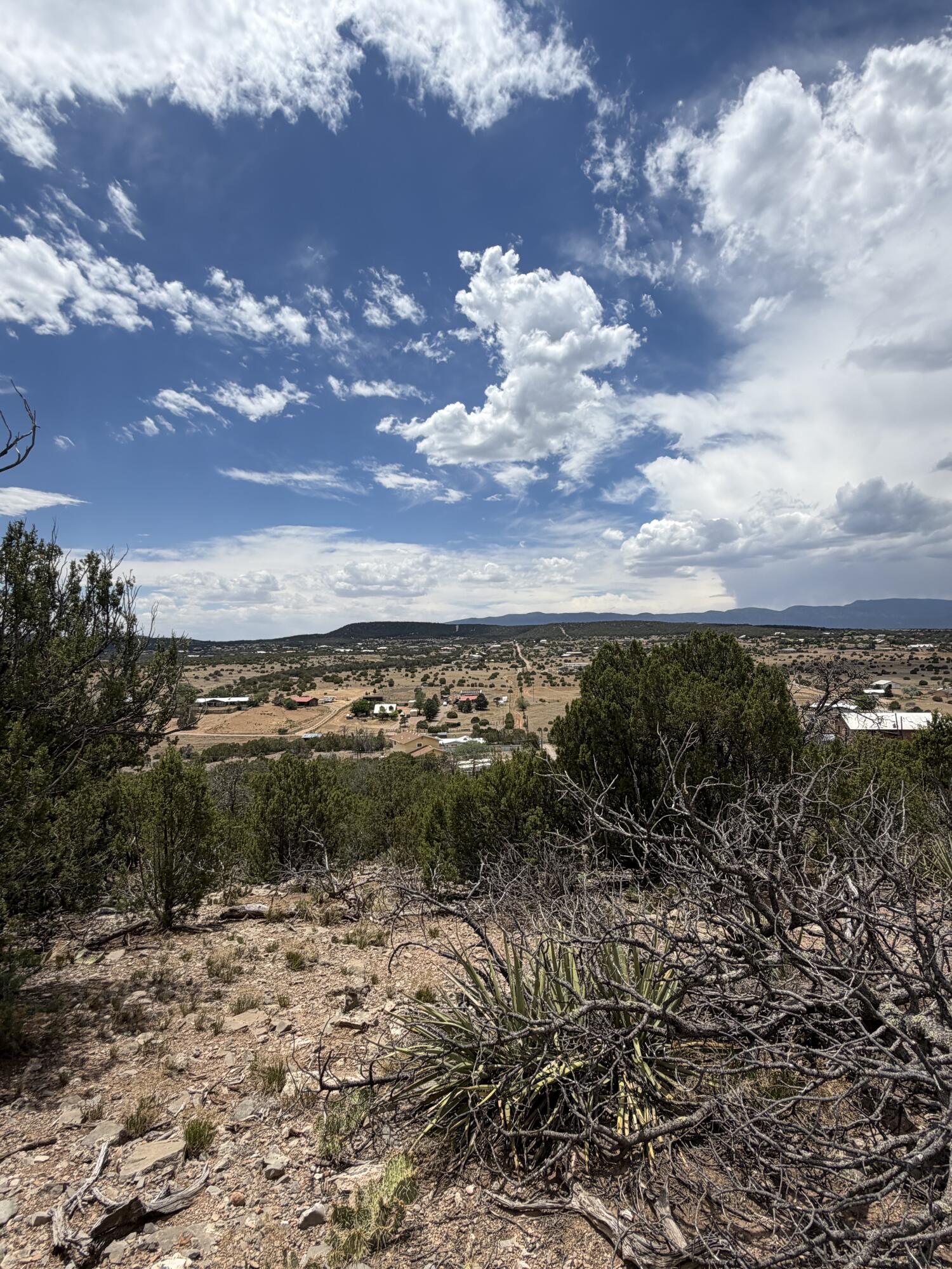 Photo 9 — 0 County Line Road