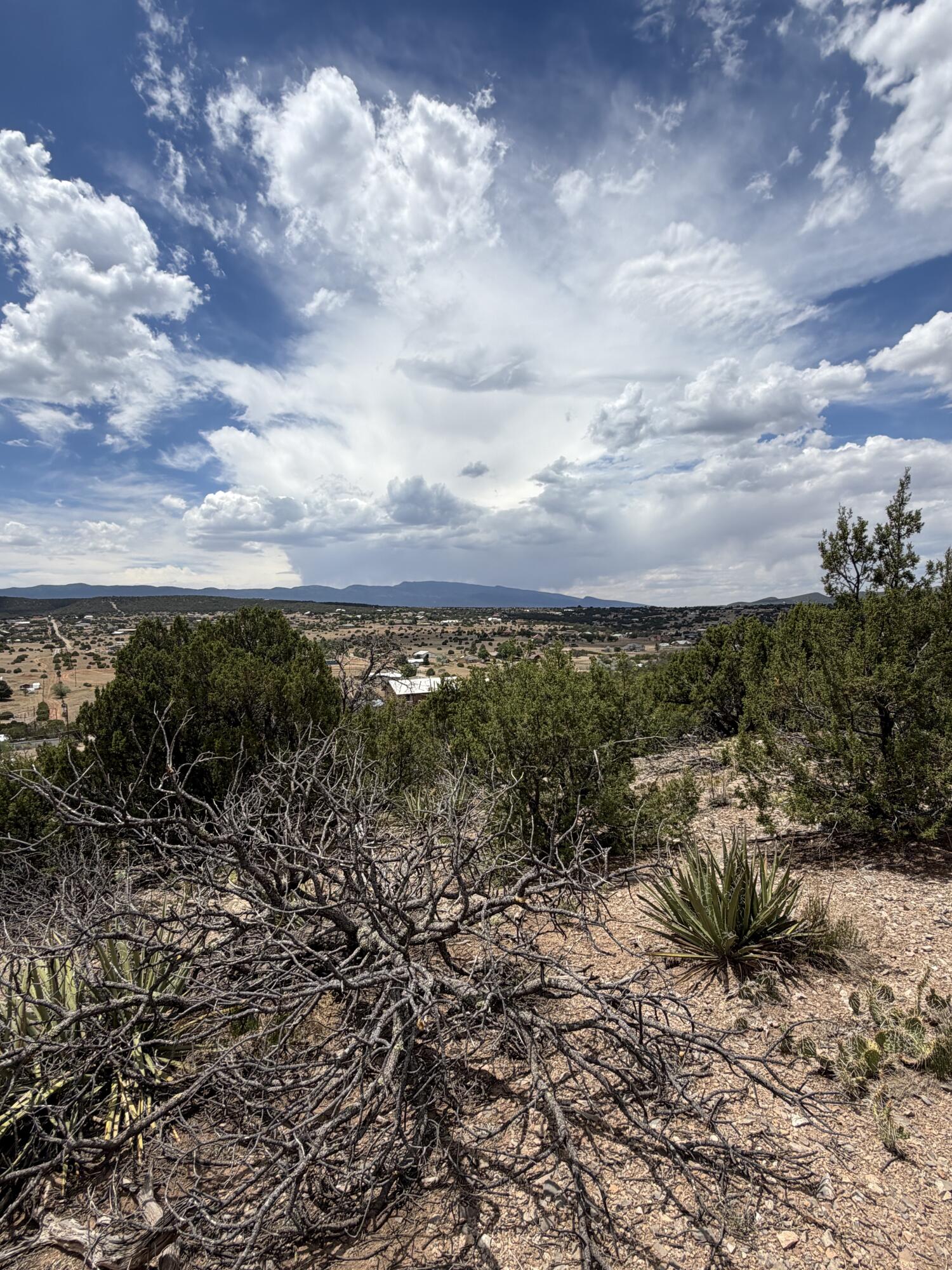 Photo 8 — 0 County Line Road