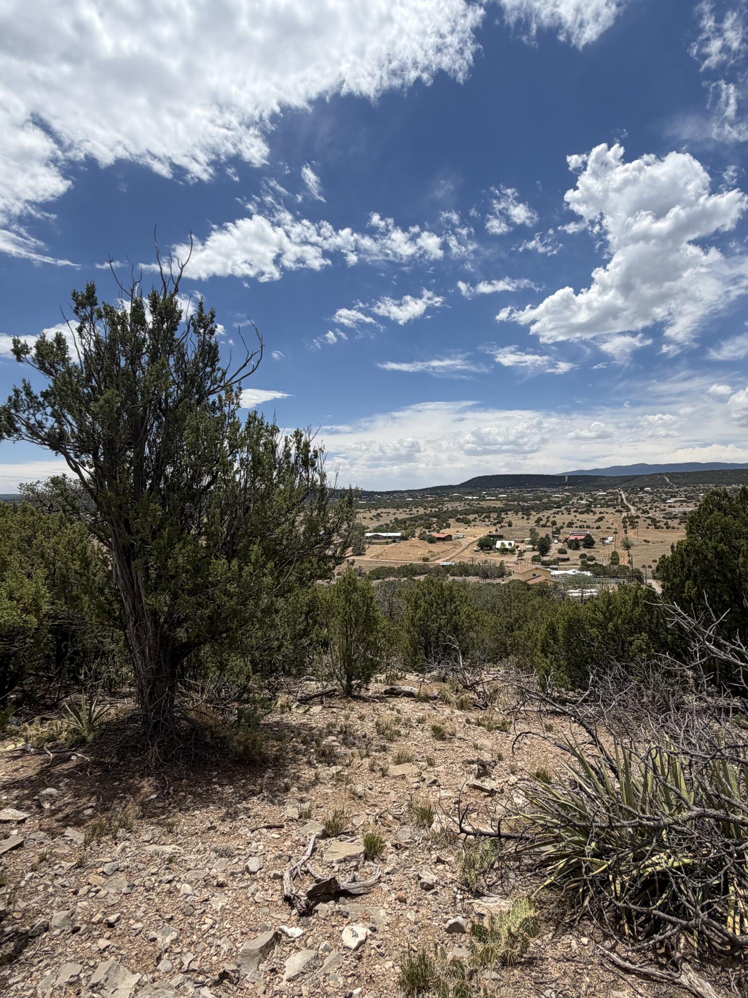 Photo 7 — 0 County Line Road