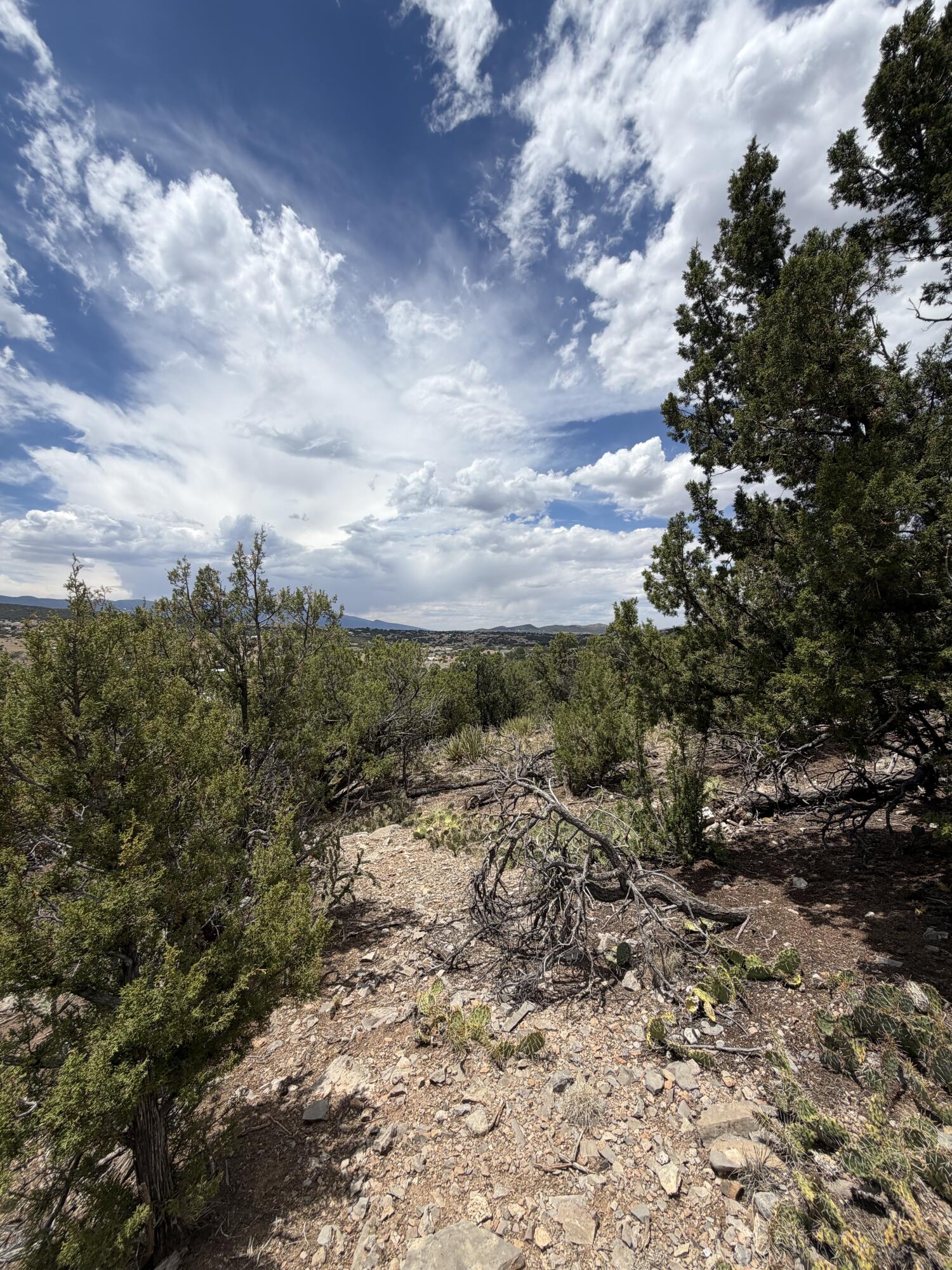 Photo 6 — 0 County Line Road