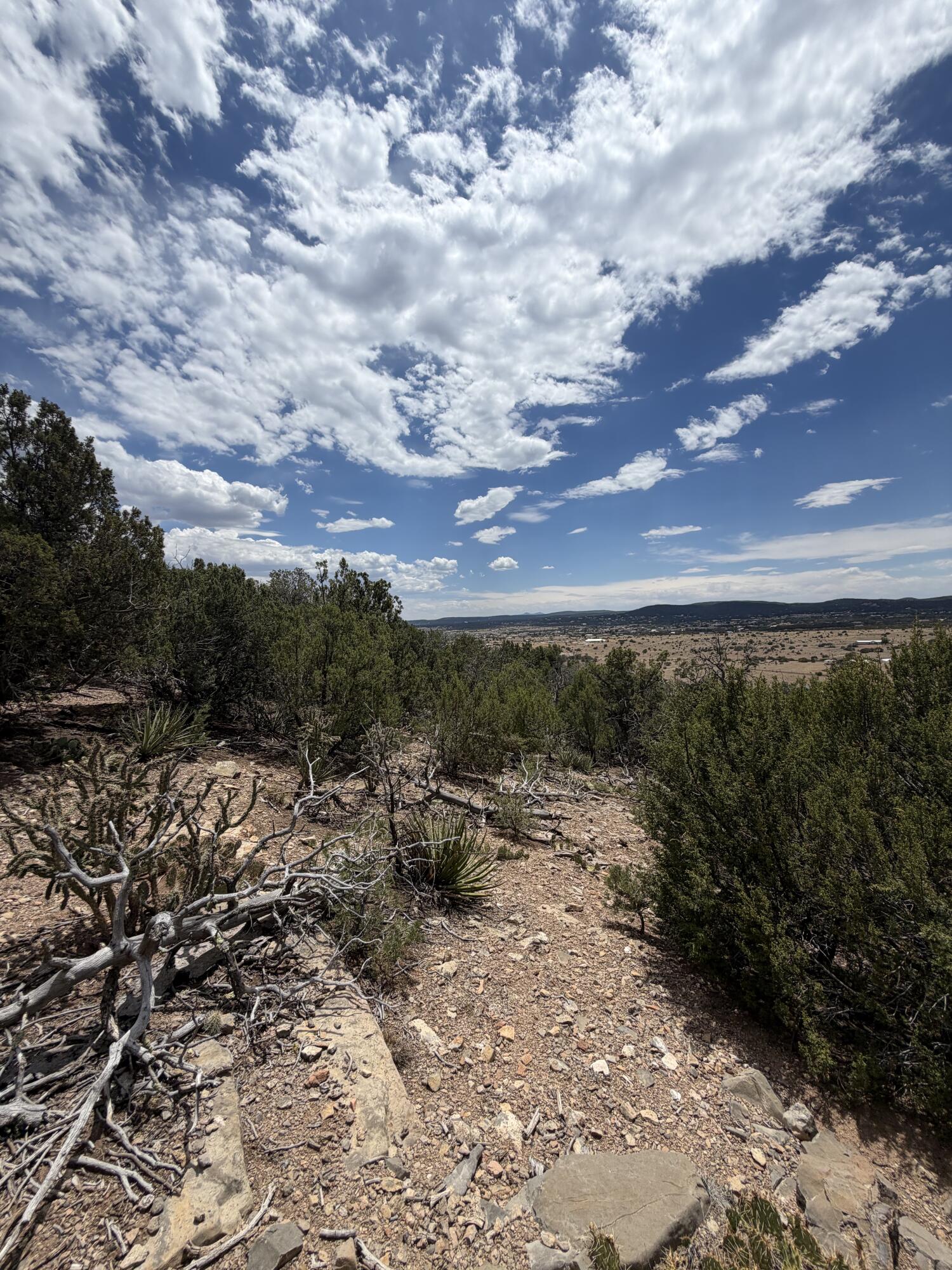 Photo 5 — 0 County Line Road