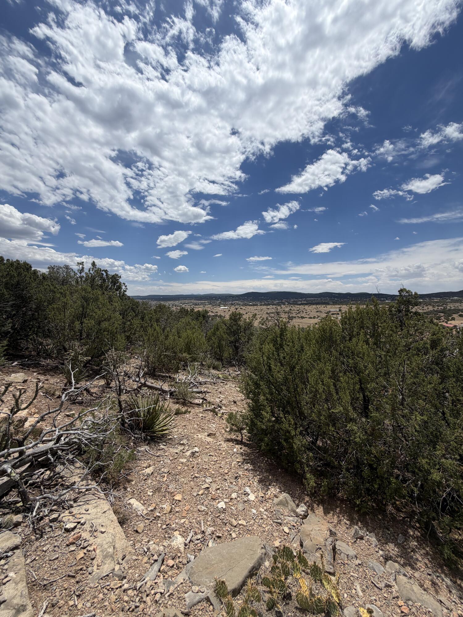 Photo 4 — 0 County Line Road
