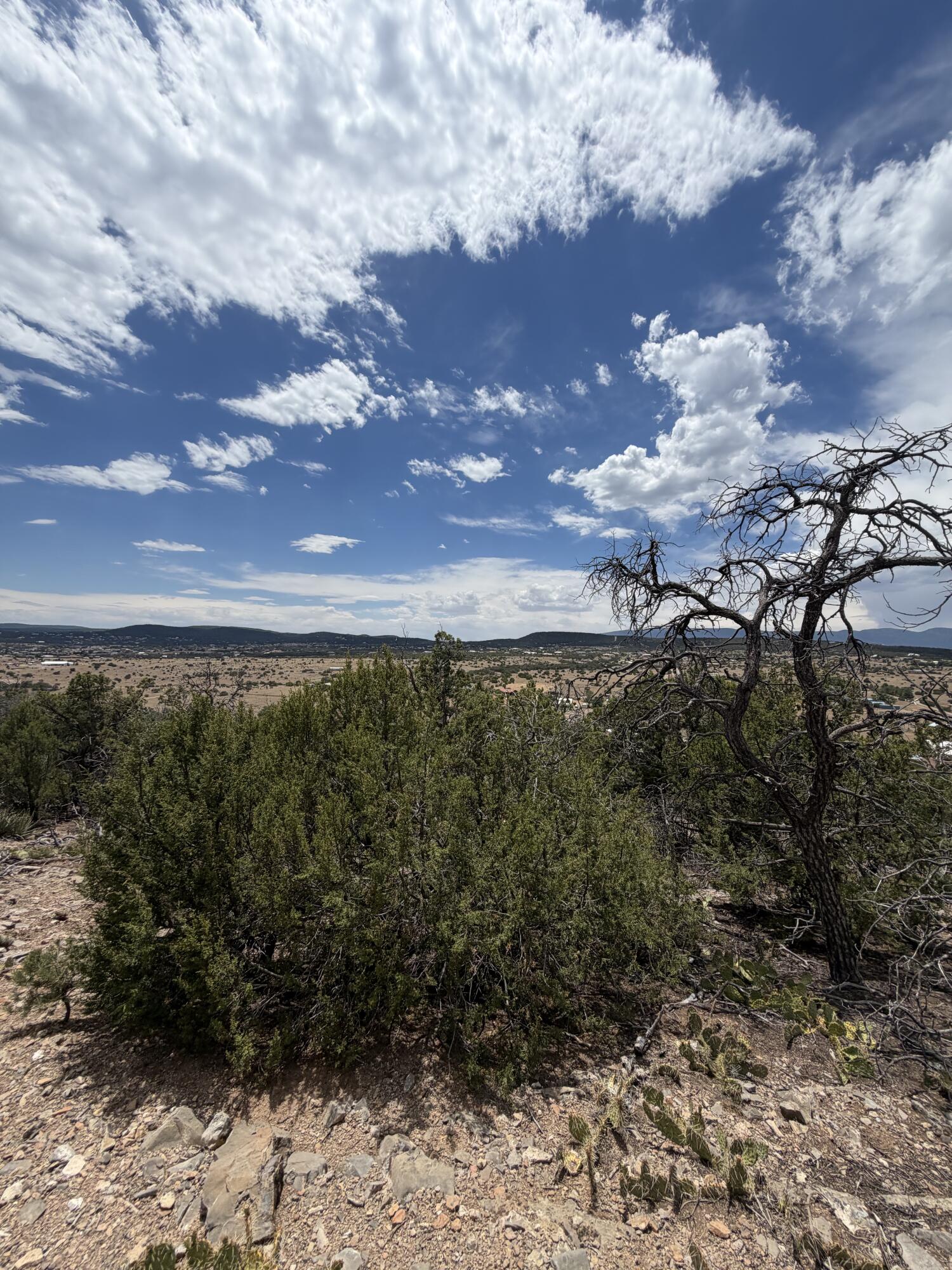 Photo 3 — 0 County Line Road
