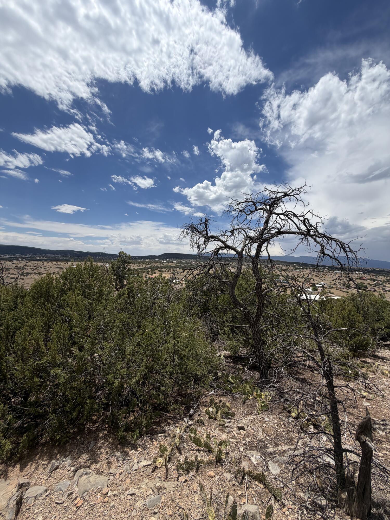 Photo 2 — 0 County Line Road