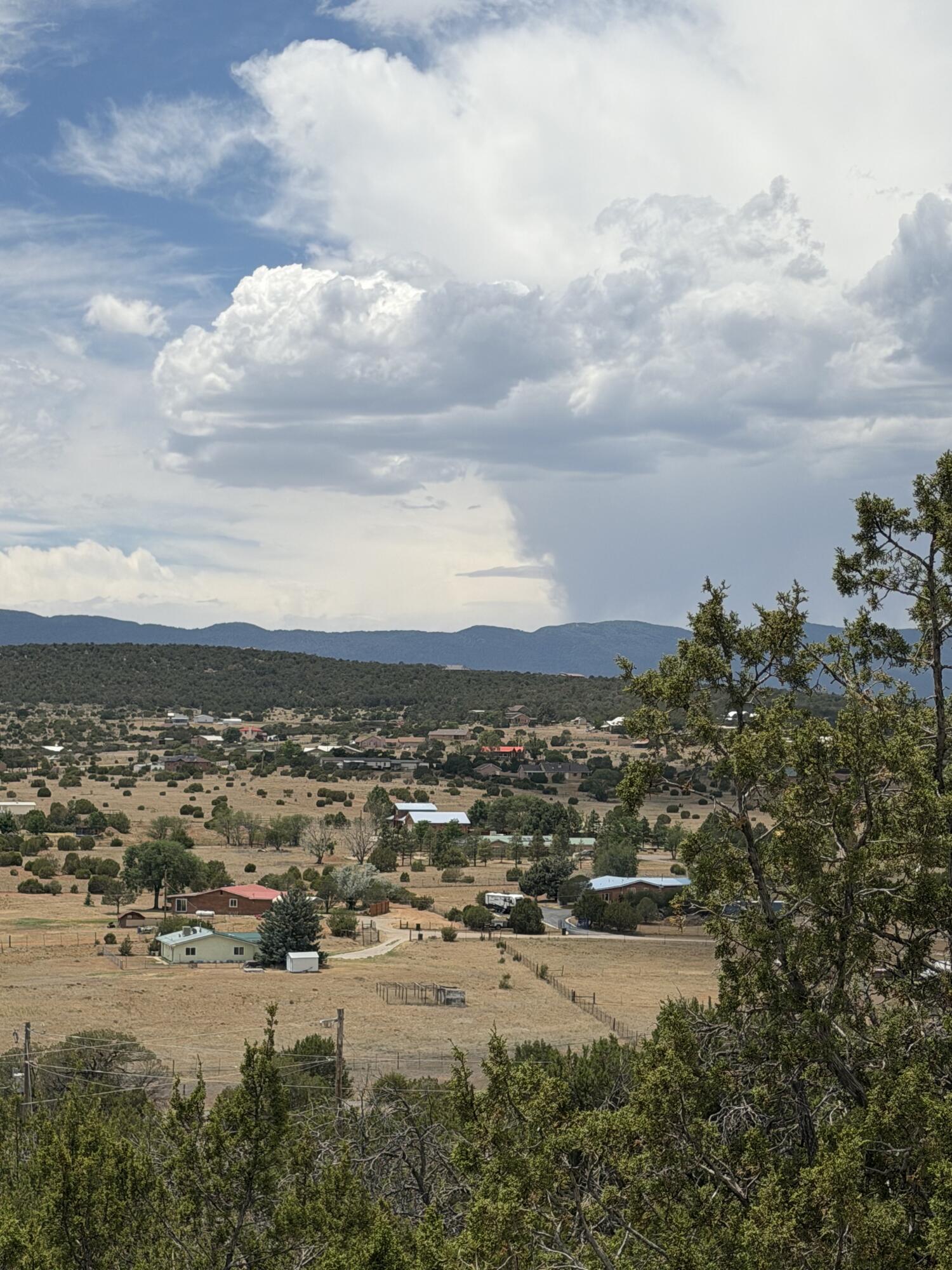 Photo 18 — 0 County Line Road