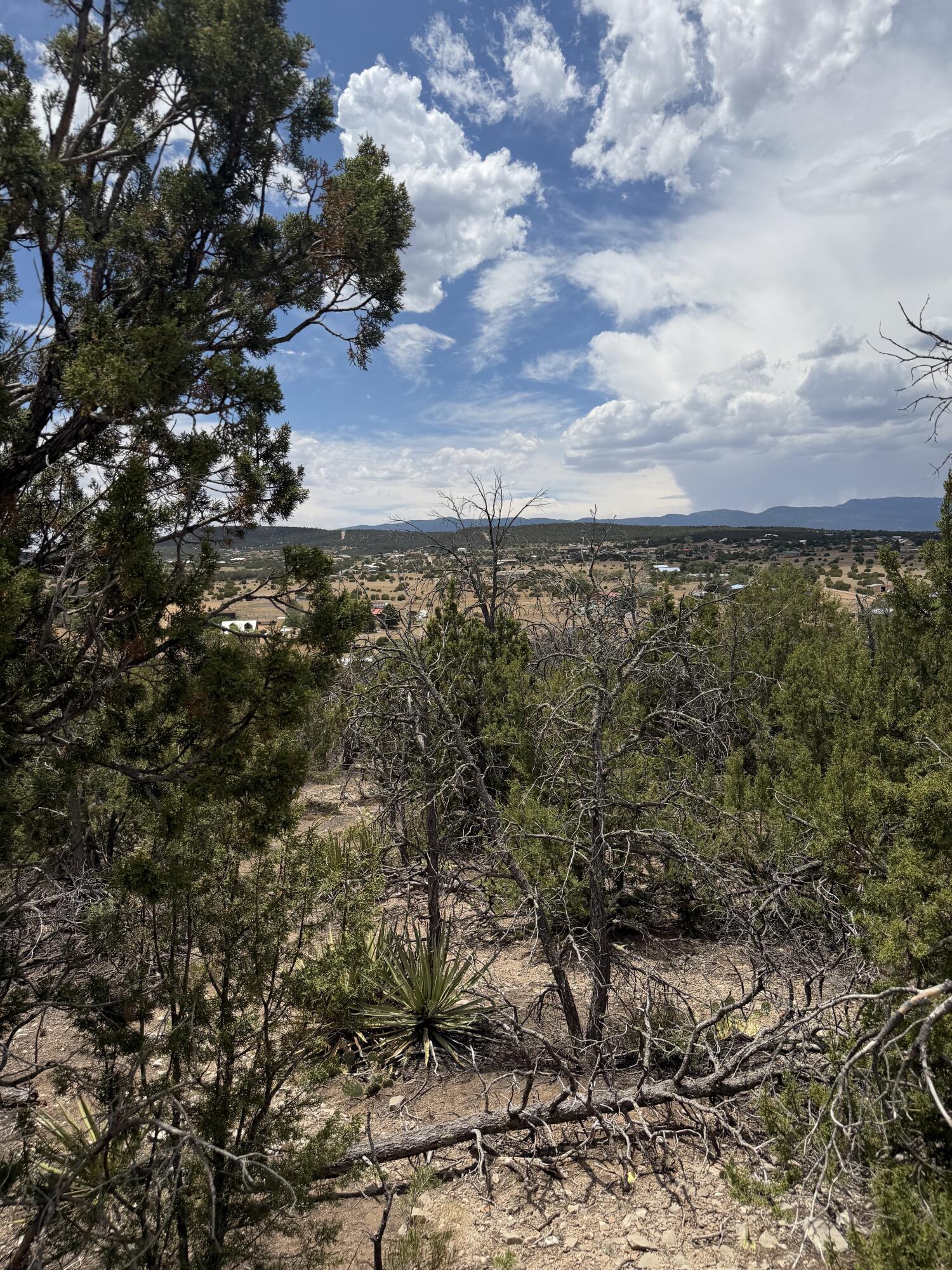 Photo 17 — 0 County Line Road