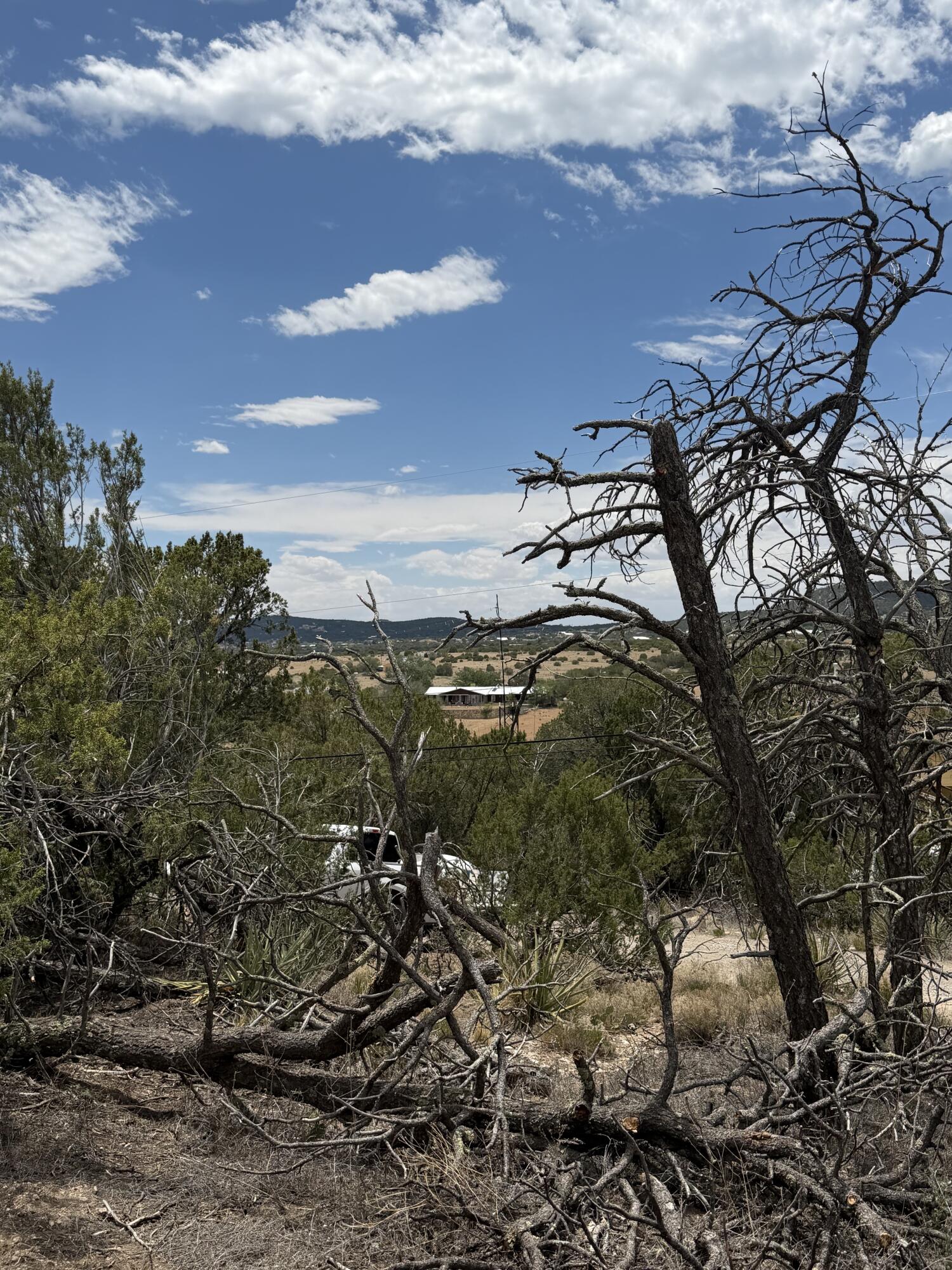 Photo 15 — 0 County Line Road