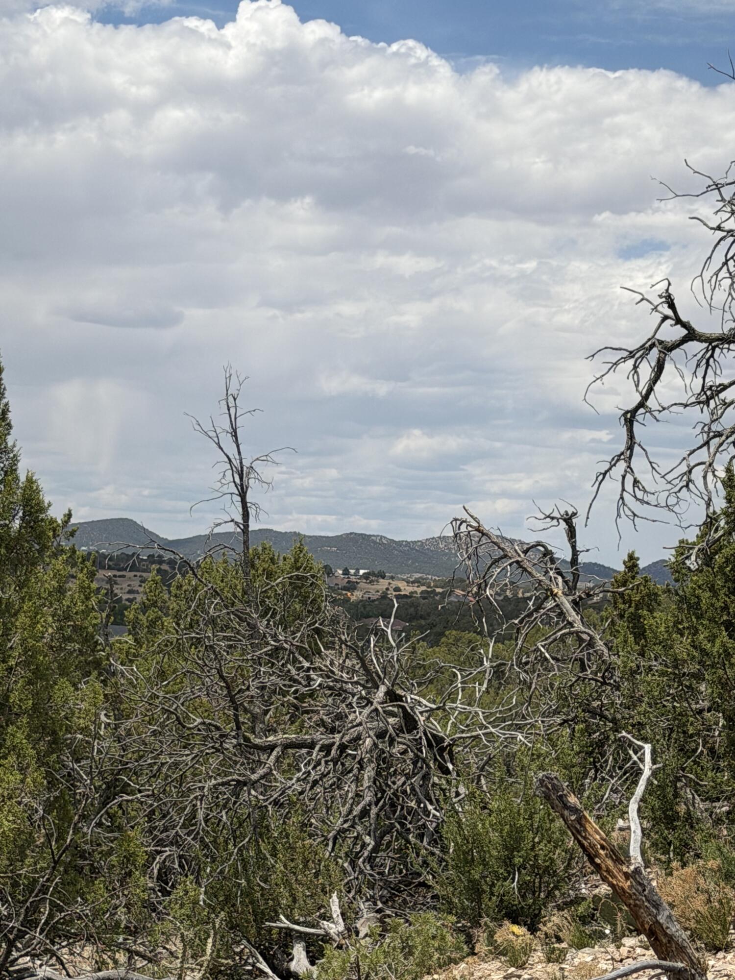 Photo 14 — 0 County Line Road
